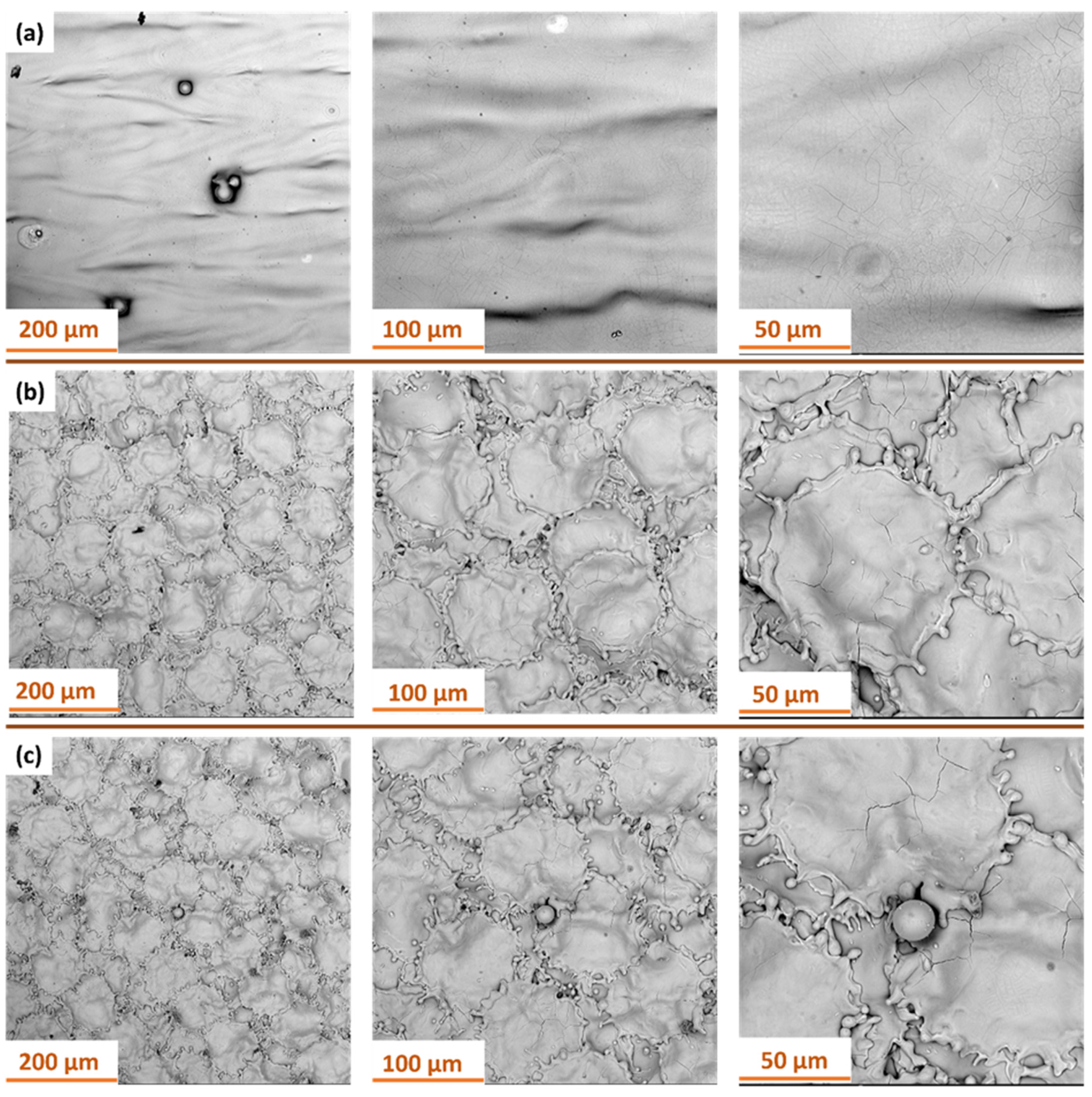 Materials 18 05315 g015 Materials 18 05315 g015