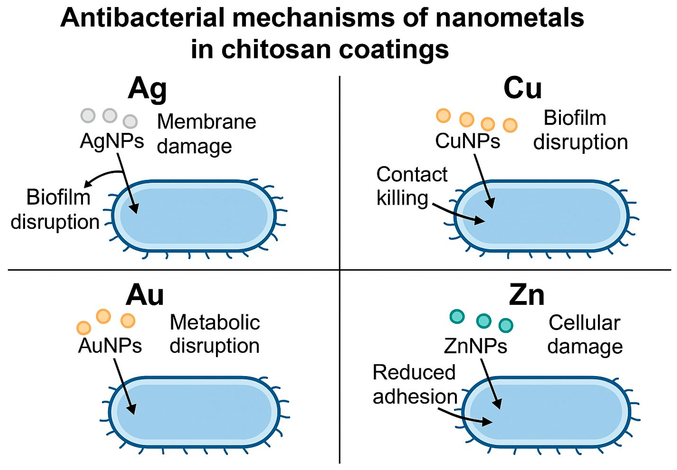 Materials 18 05322 g002