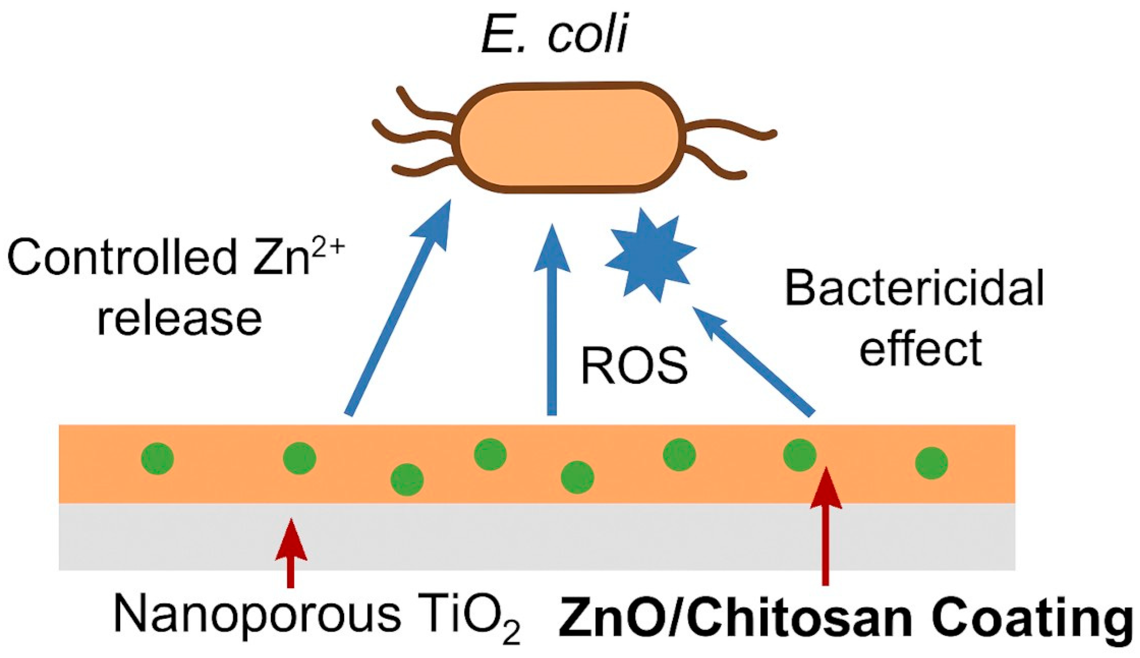 Materials 18 05322 g003