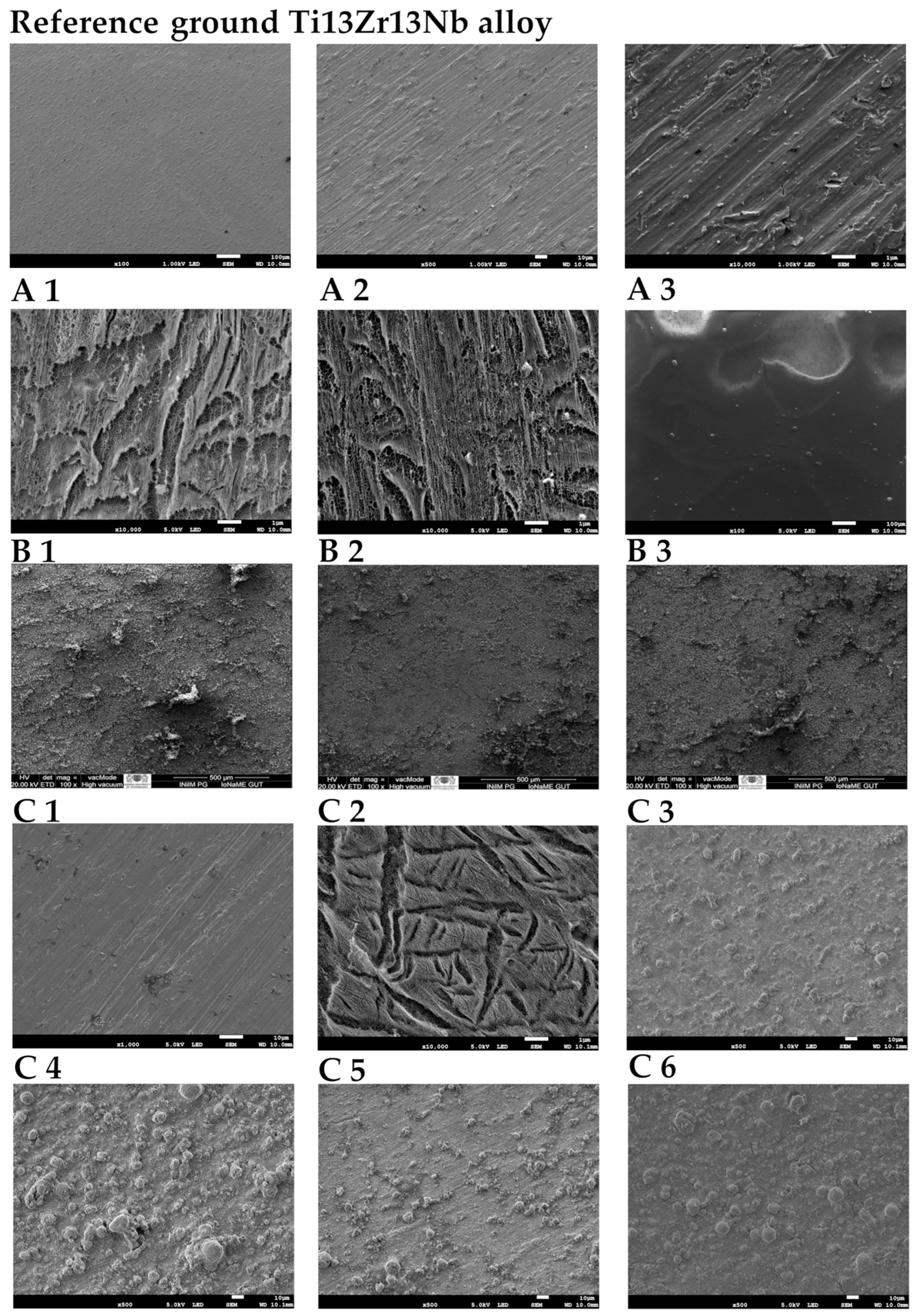 Materials 18 05323 g001