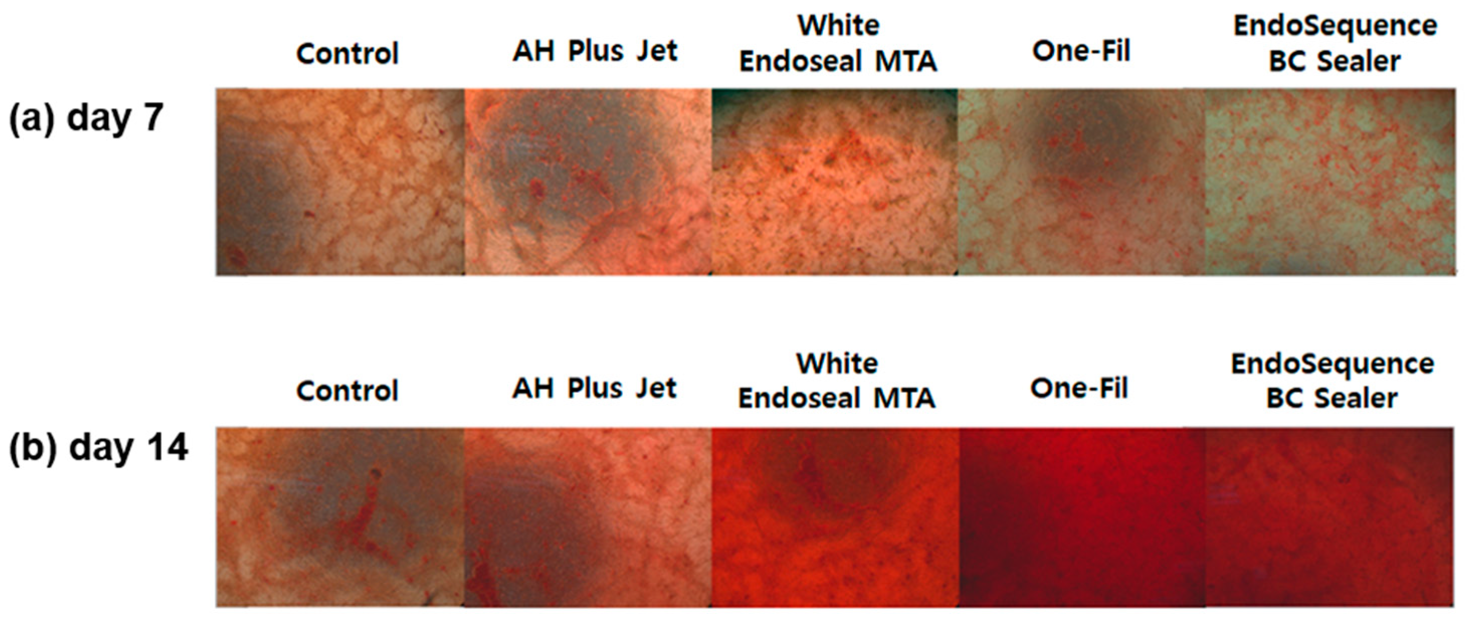 Materials 18 05326 g003