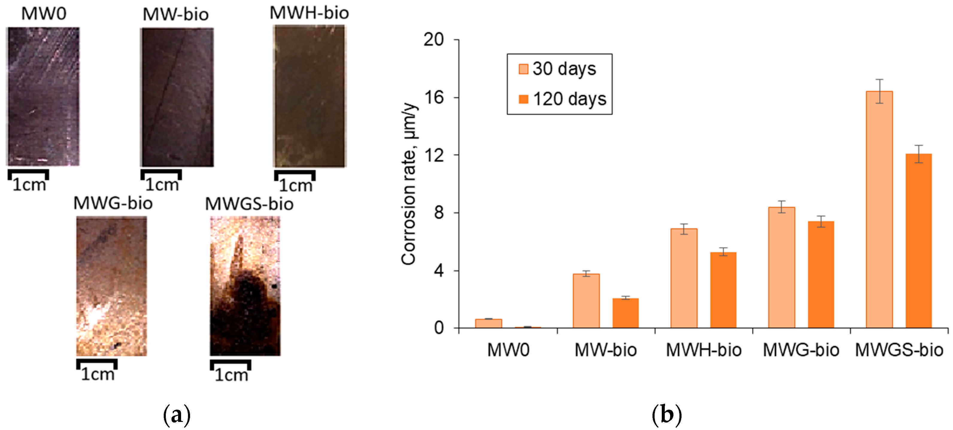 Materials 18 05329 g004