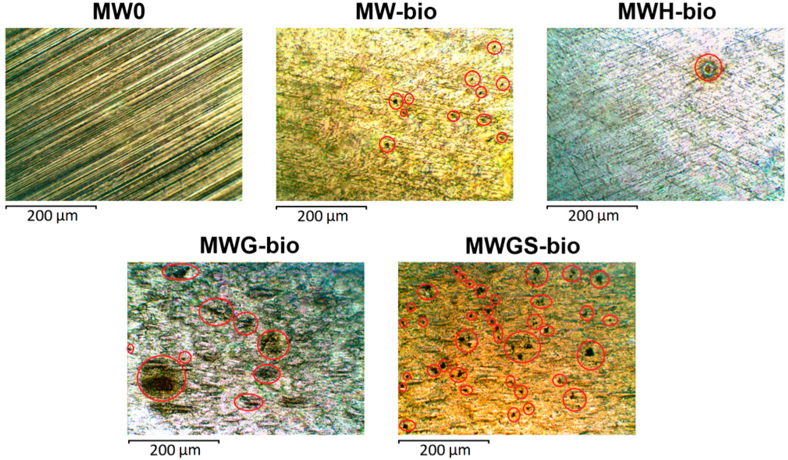 Materials 18 05329 g005