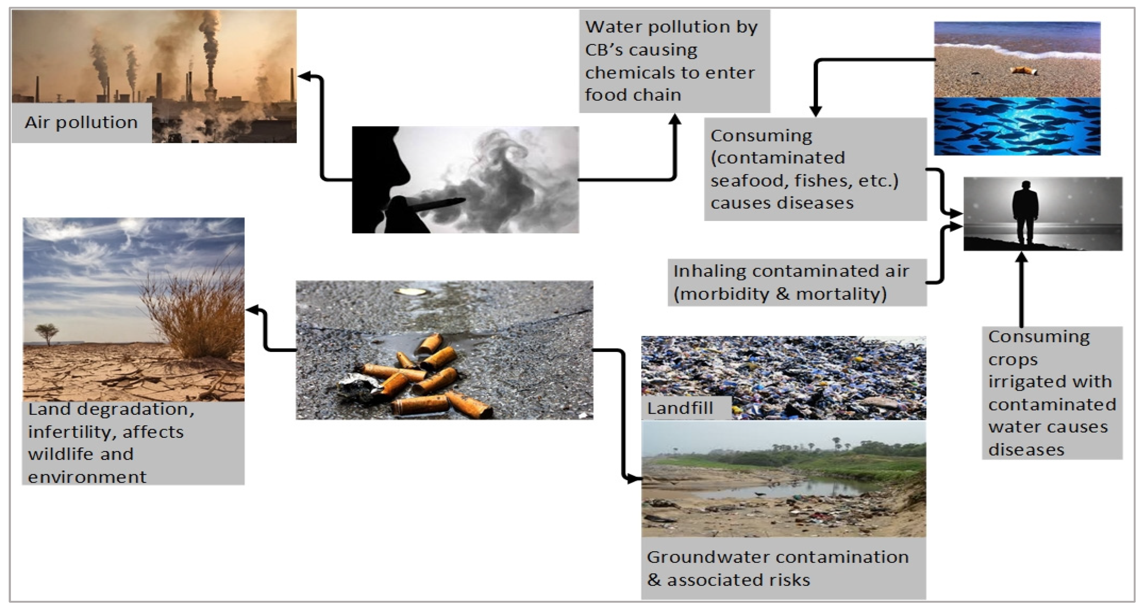 Materials 18 05340 g001