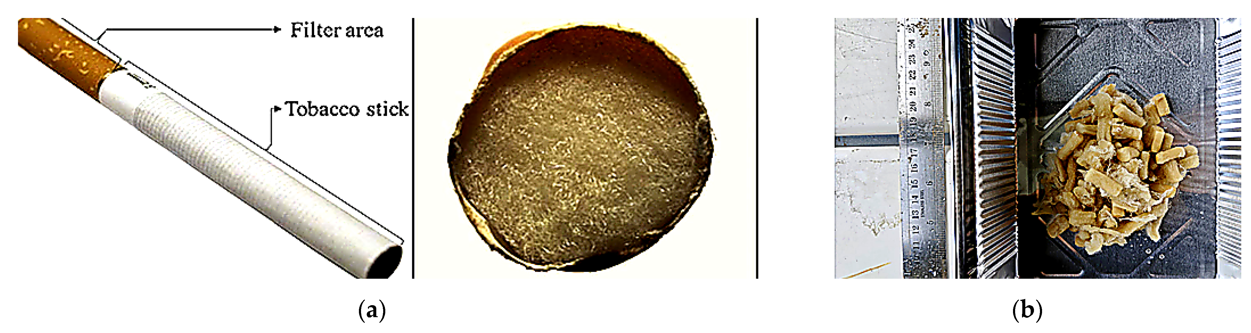 Materials 18 05340 g004