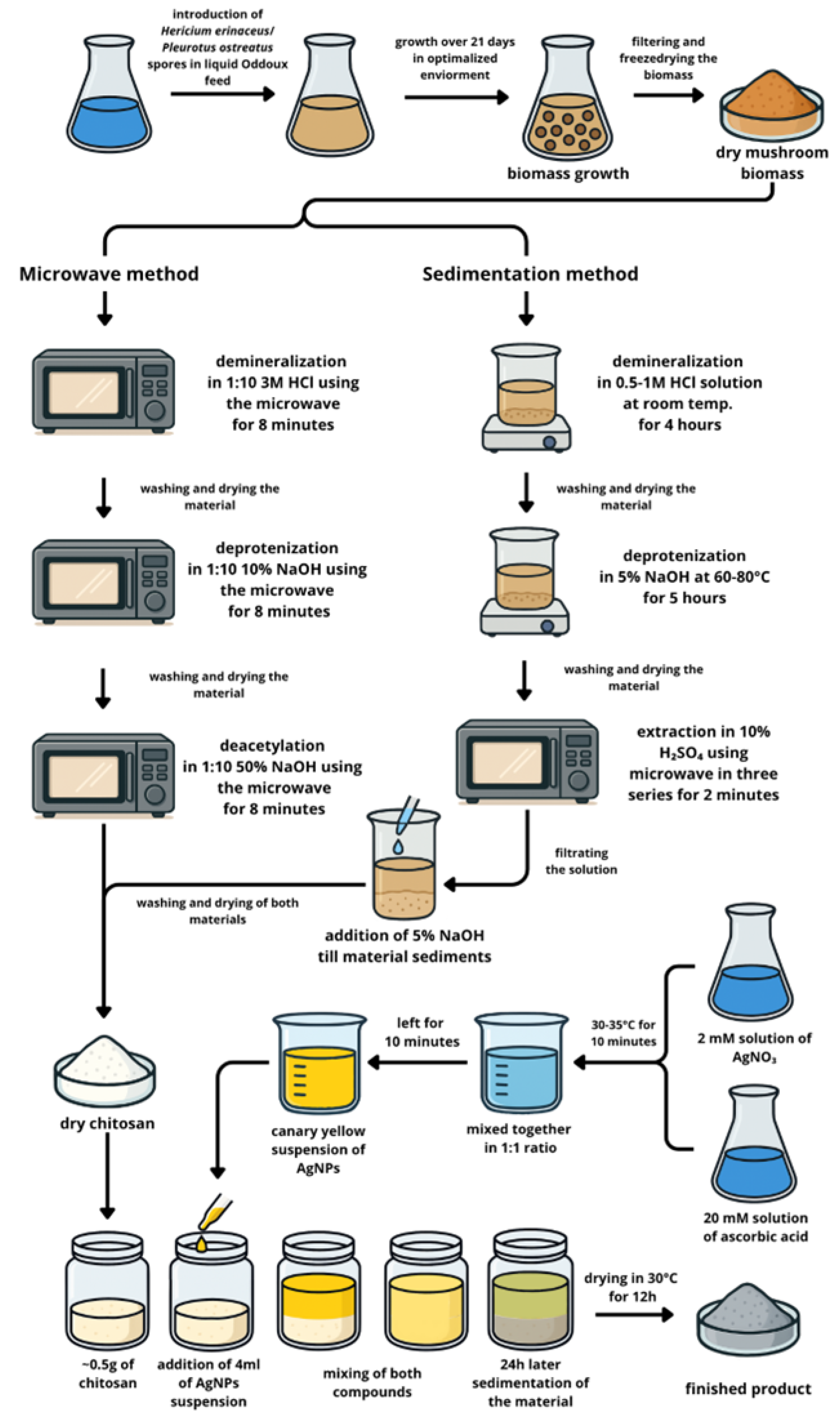 Materials 18 05342 g001