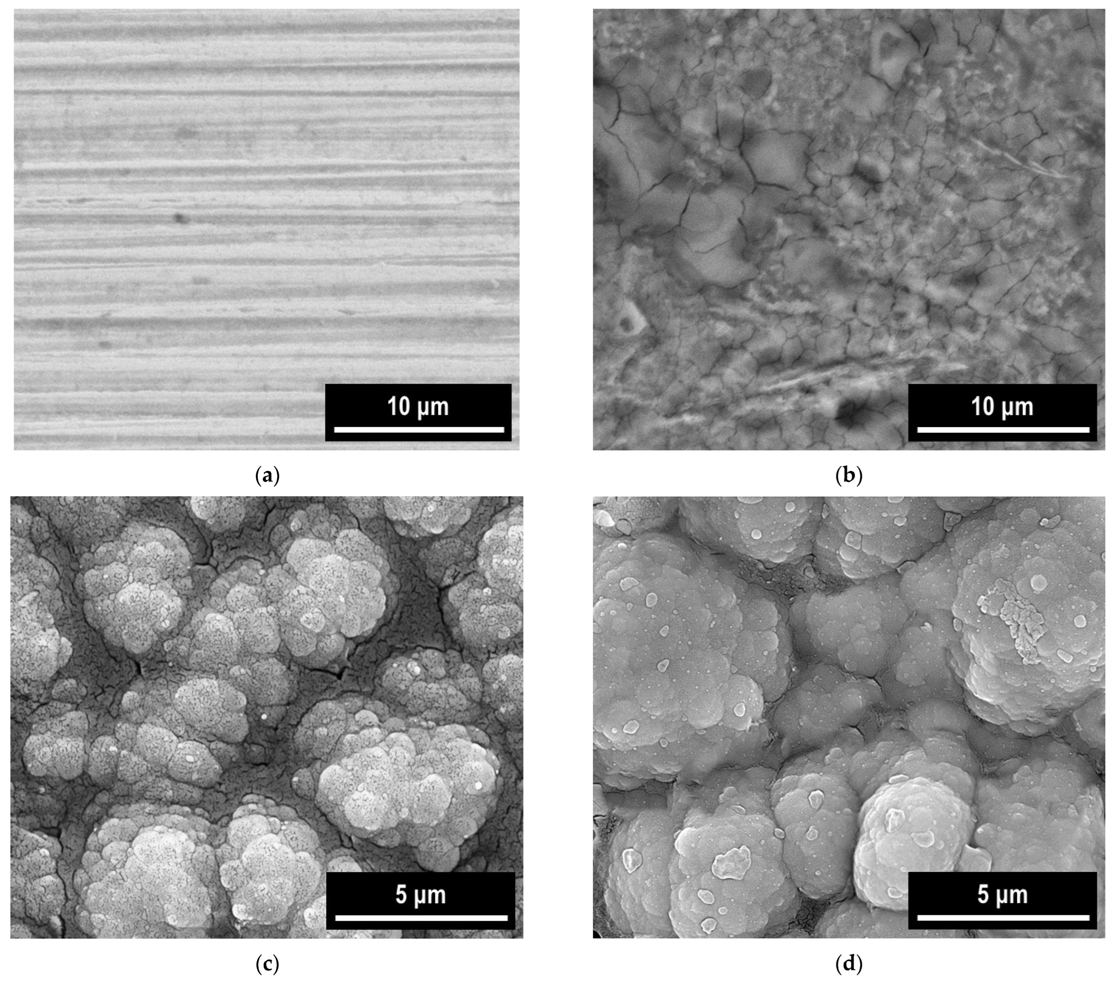 Materials 18 05351 g012a