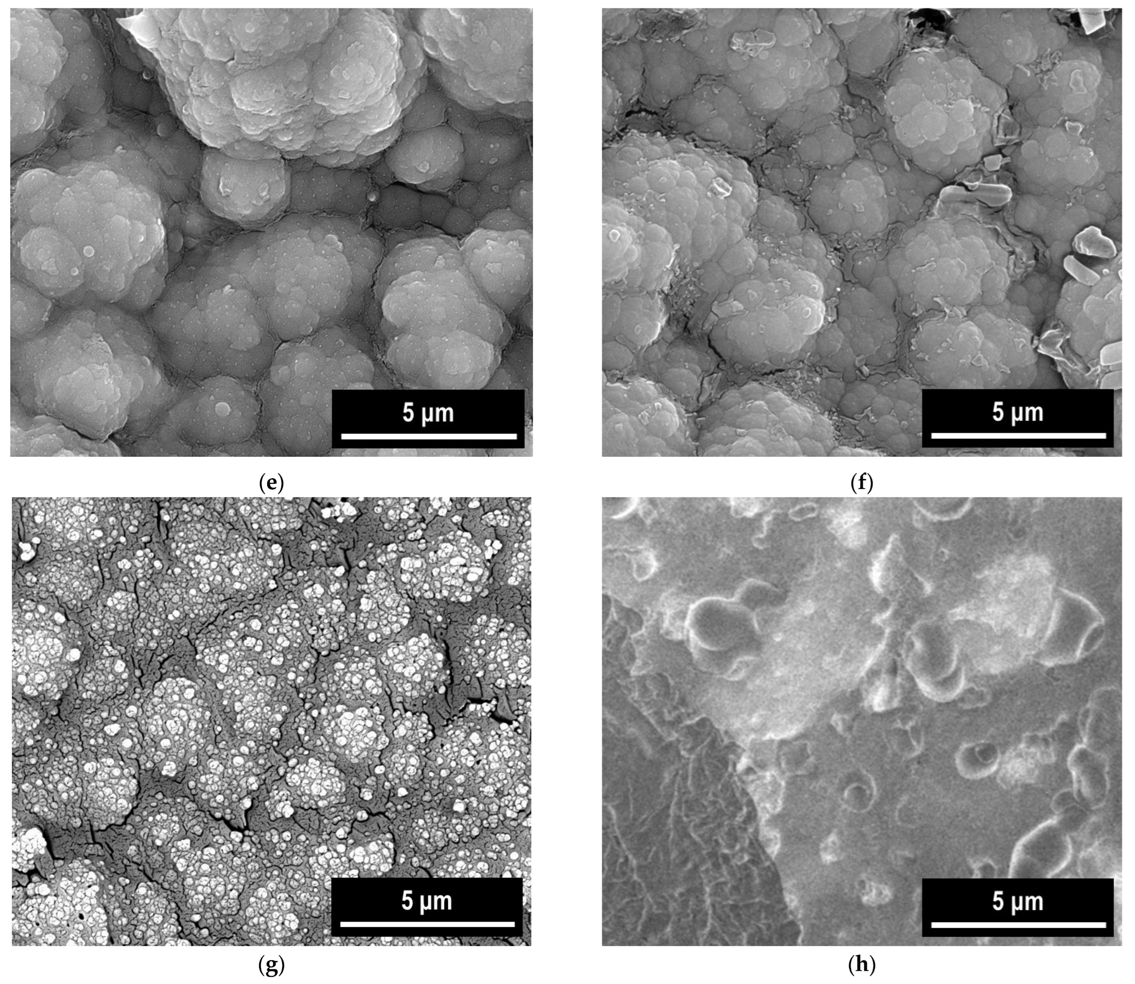 Materials 18 05351 g012b