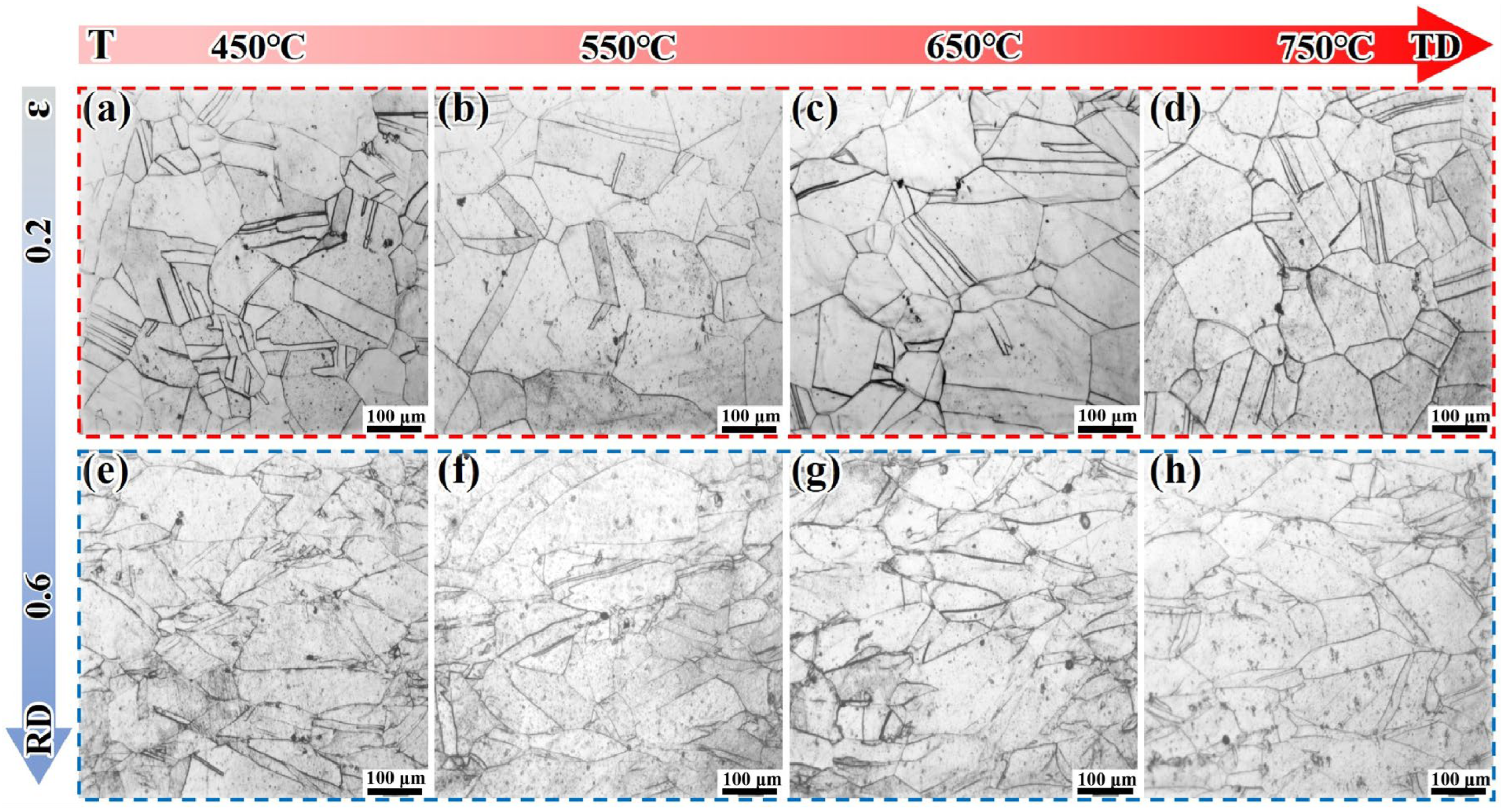 Materials 18 05354 g005