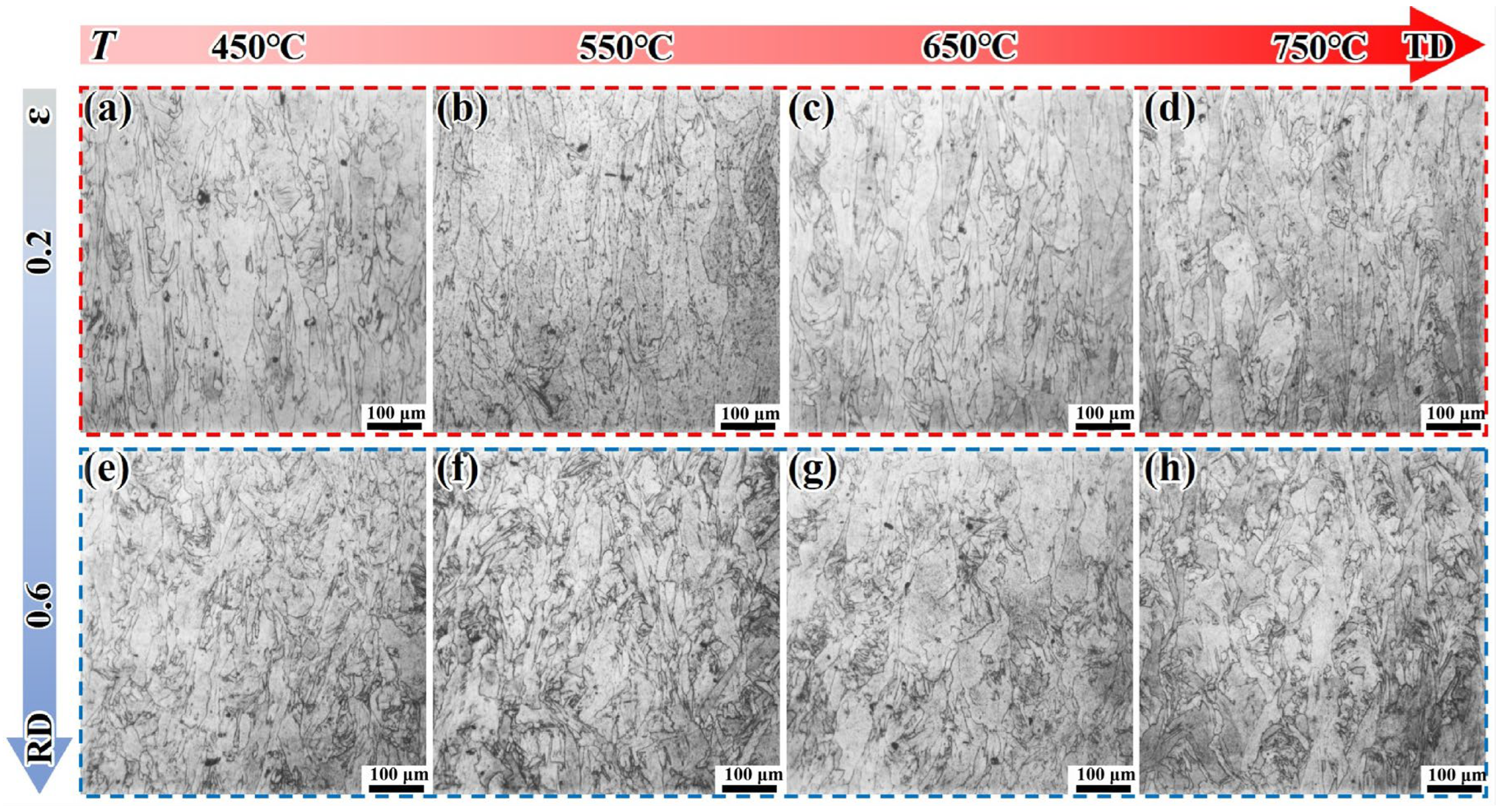 Materials 18 05354 g006
