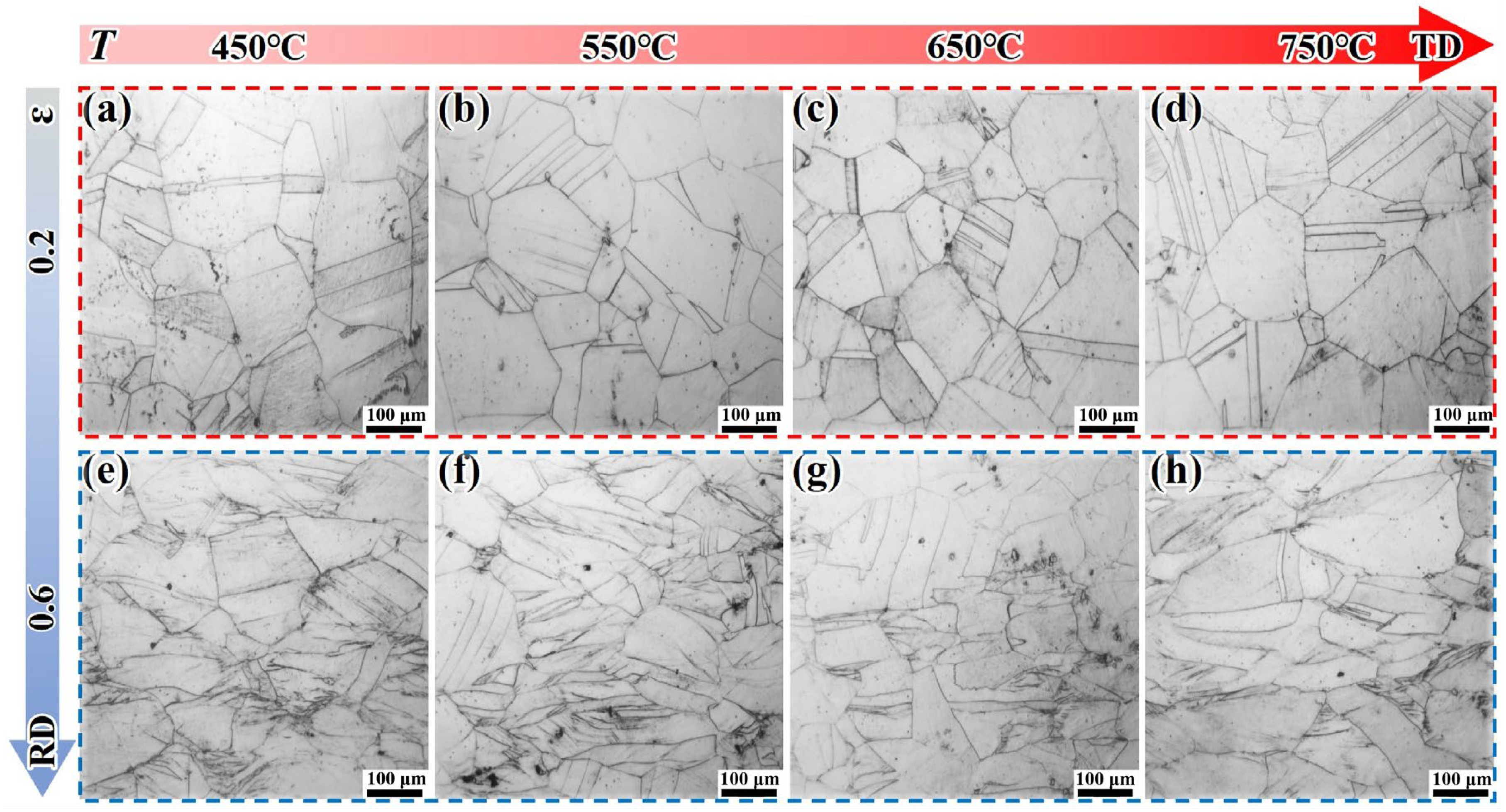 Materials 18 05354 g007
