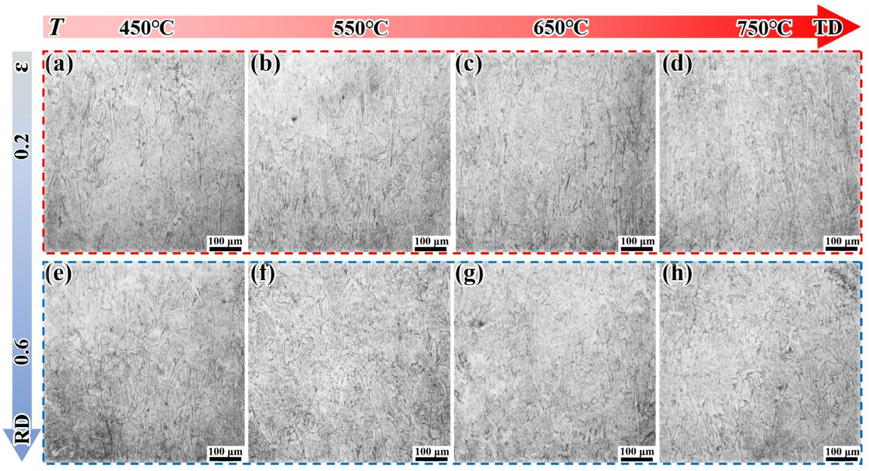 Materials 18 05354 g008