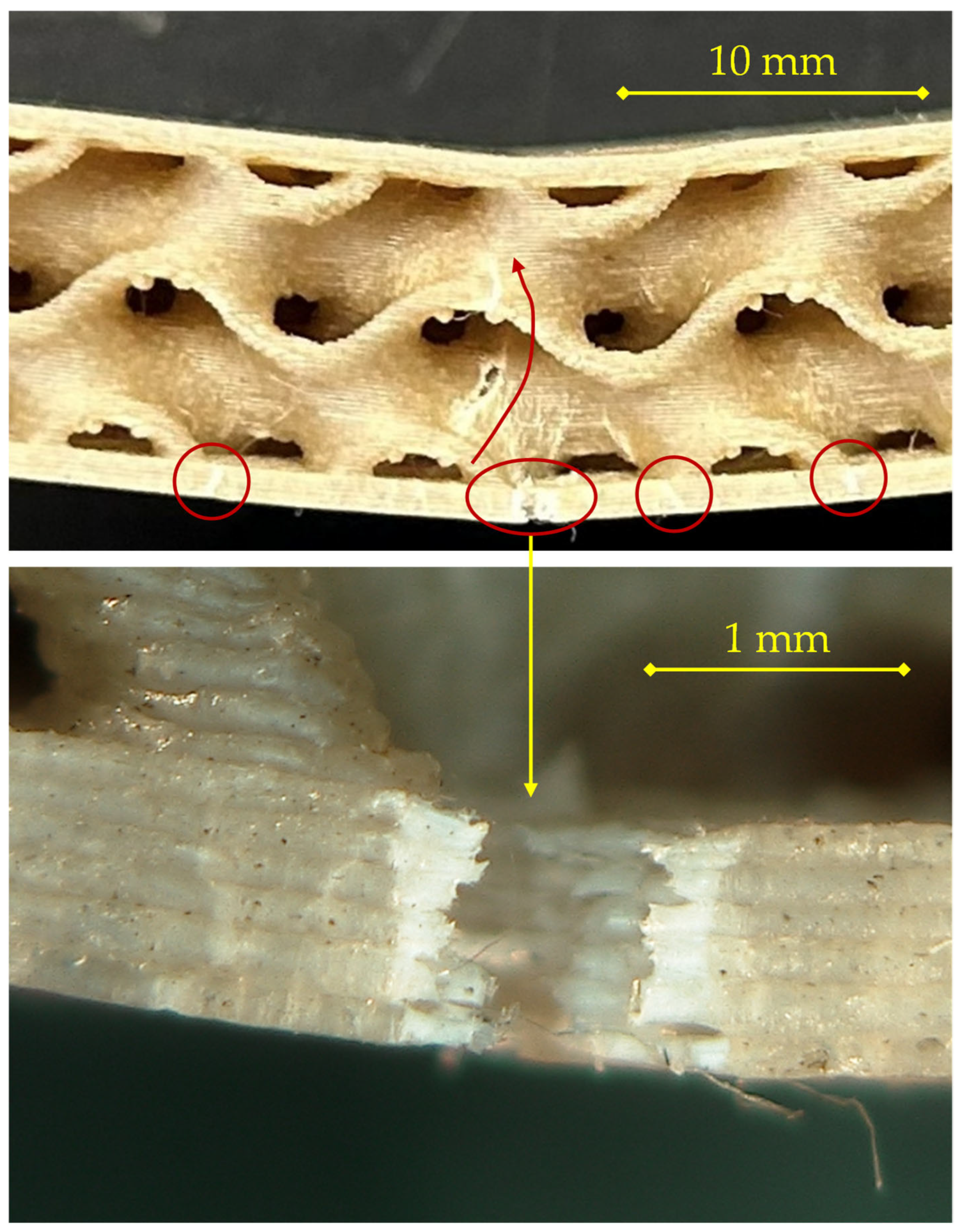 Materials 18 05356 g006