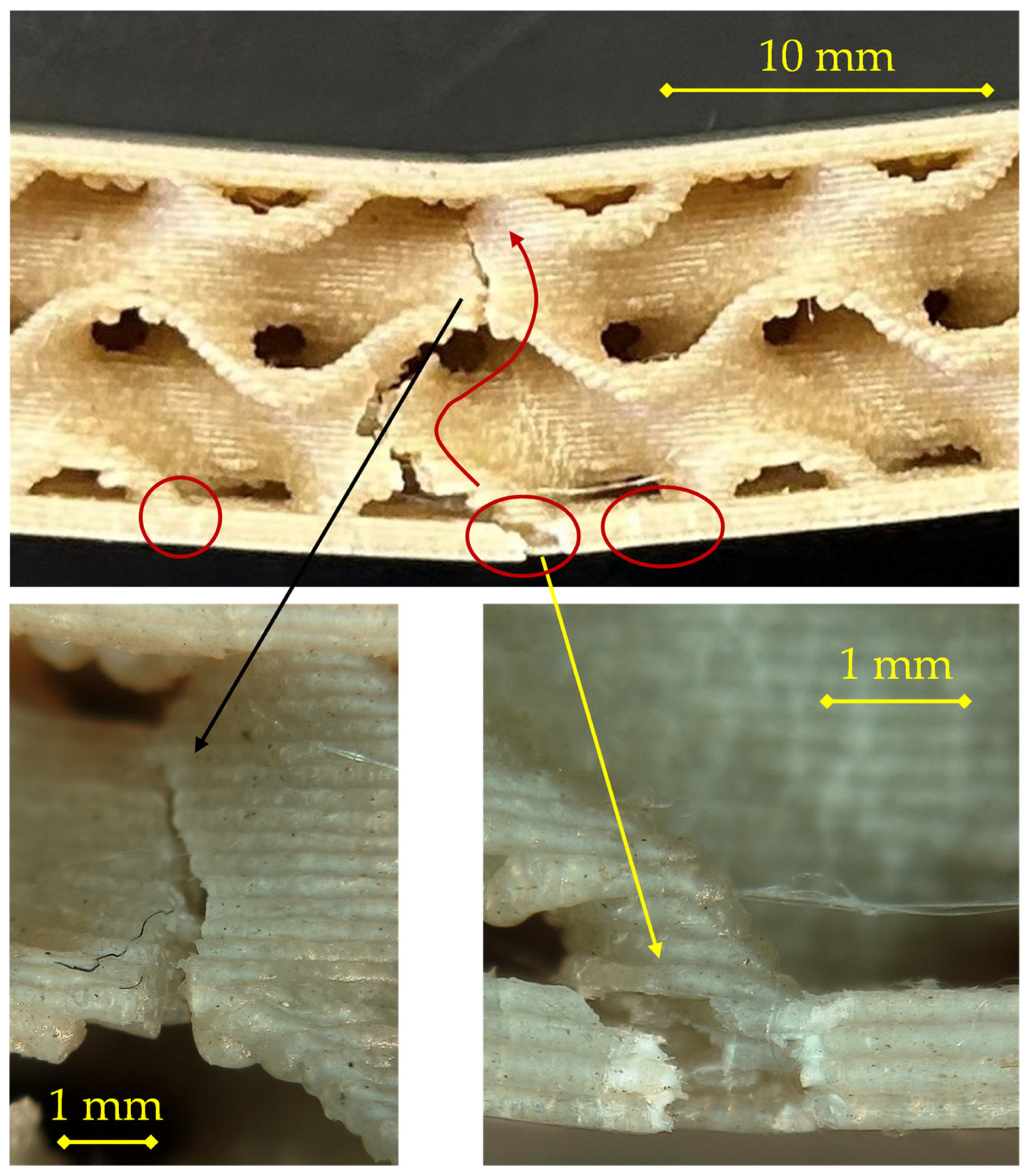Materials 18 05356 g007
