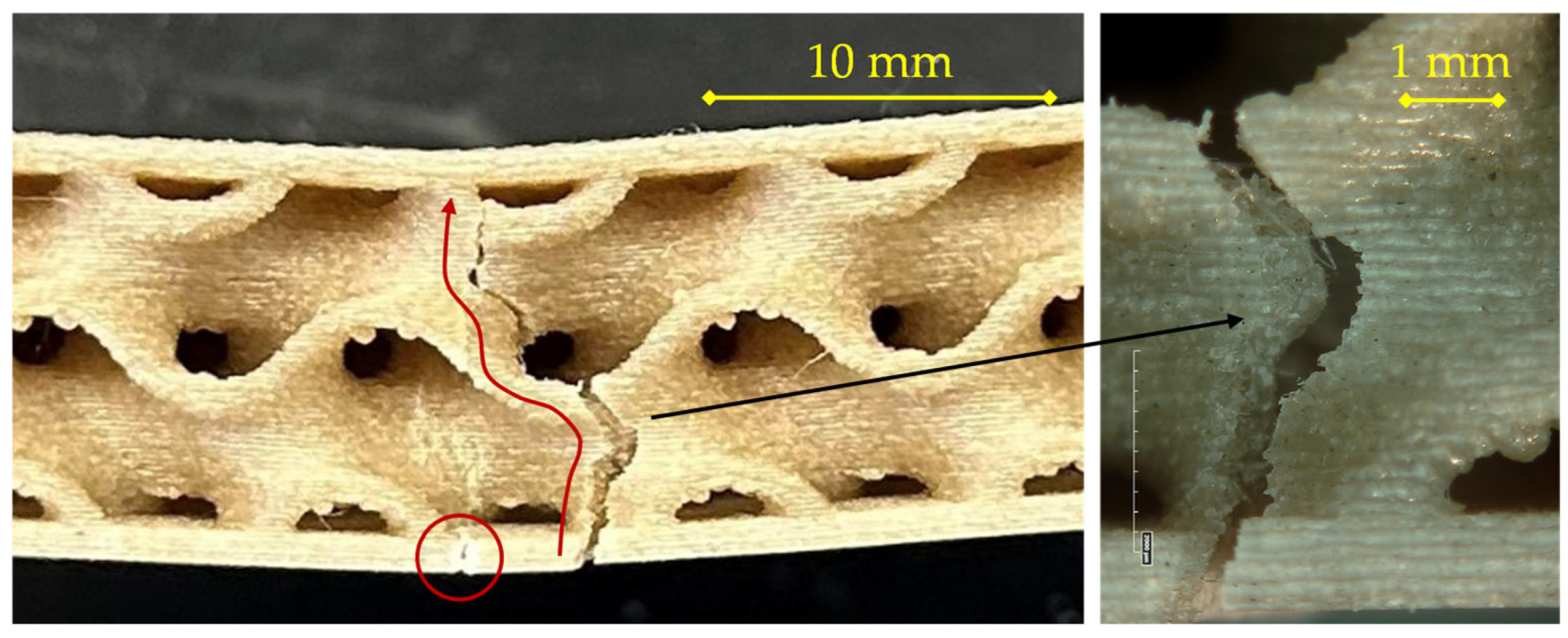 Materials 18 05356 g009