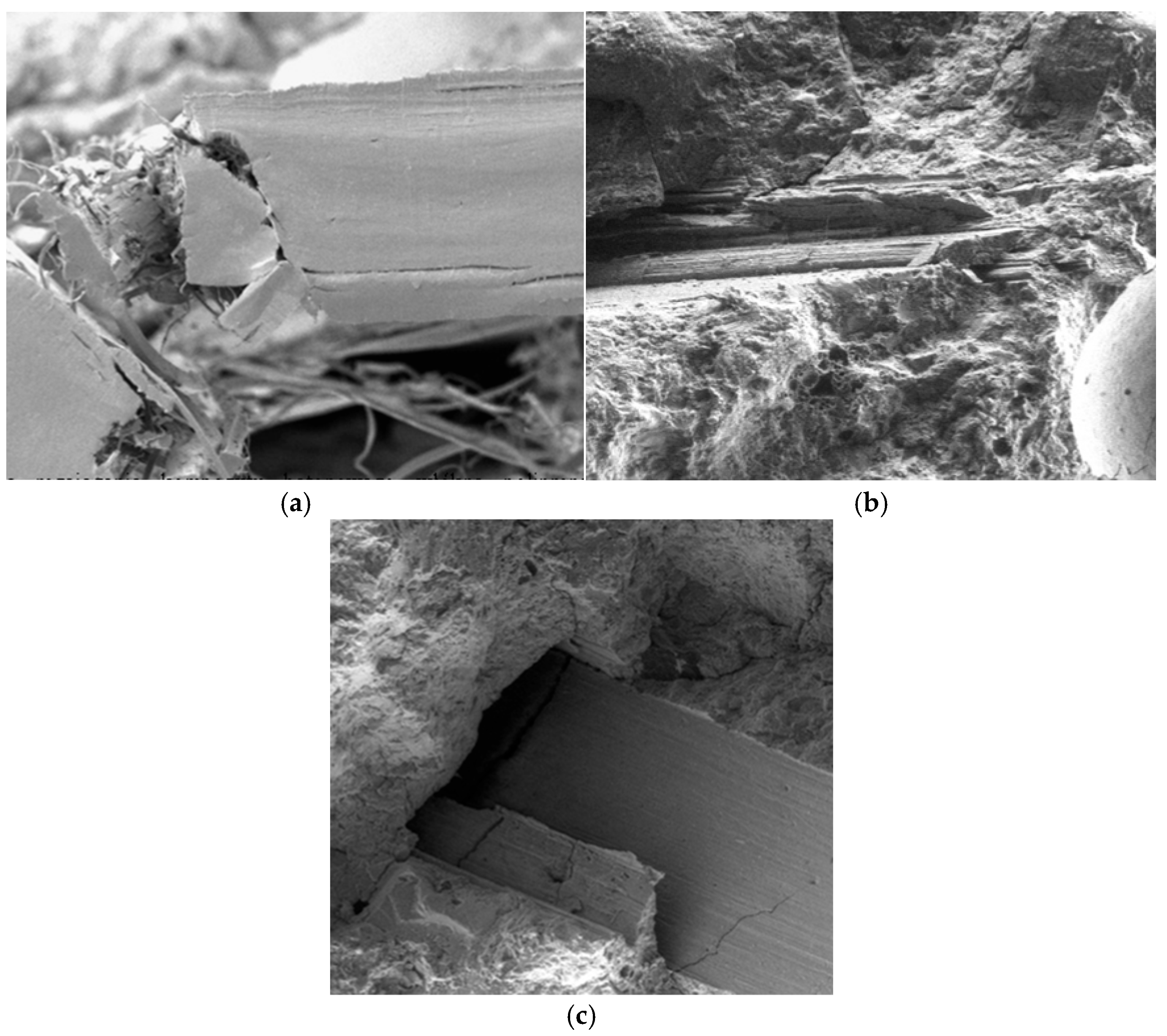 Materials 18 05358 g022