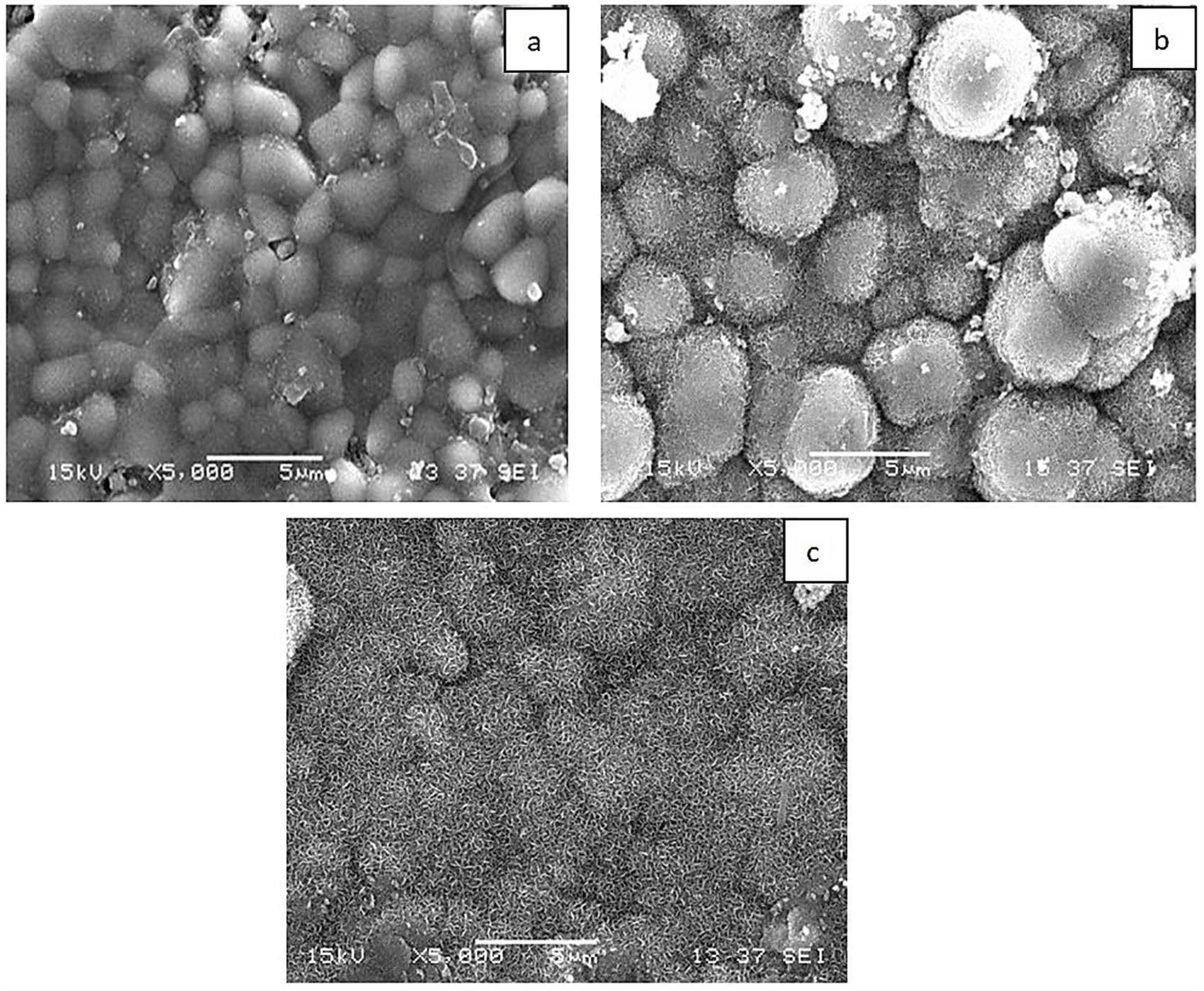 Materials 18 05359 g004 Materials 18 05359 g004