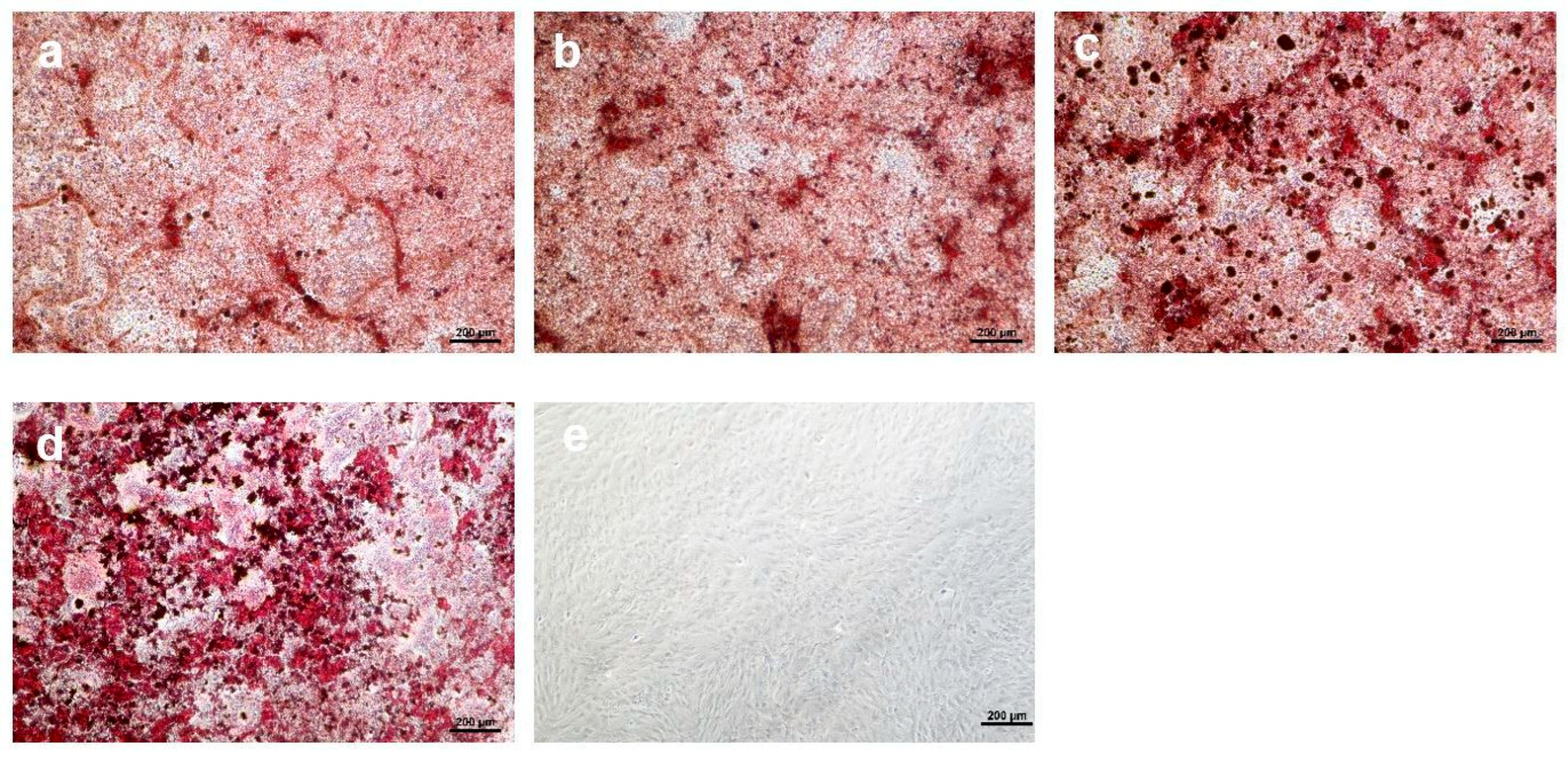 Materials 18 05359 g006 Materials 18 05359 g006