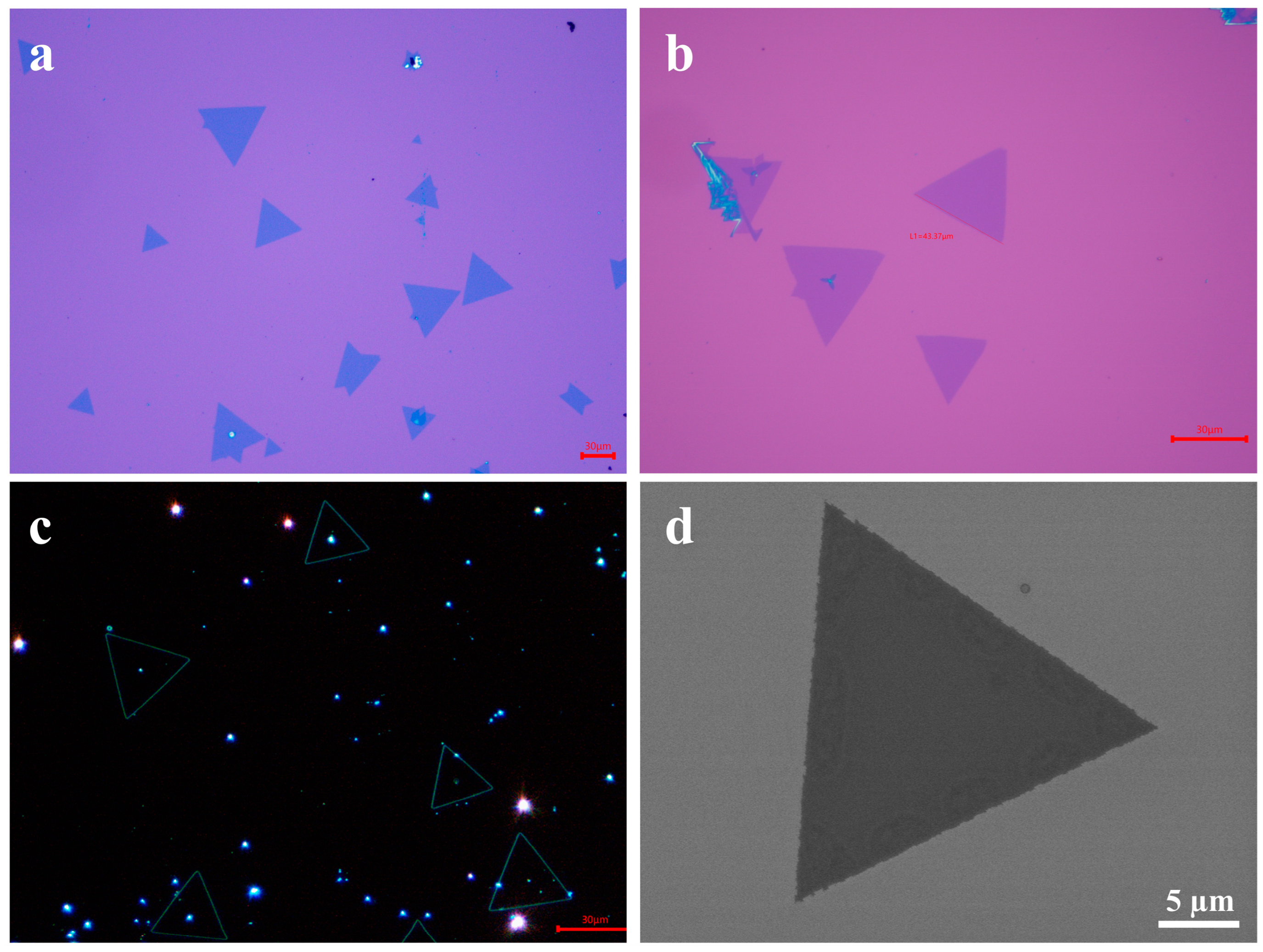 Materials 18 05360 g003