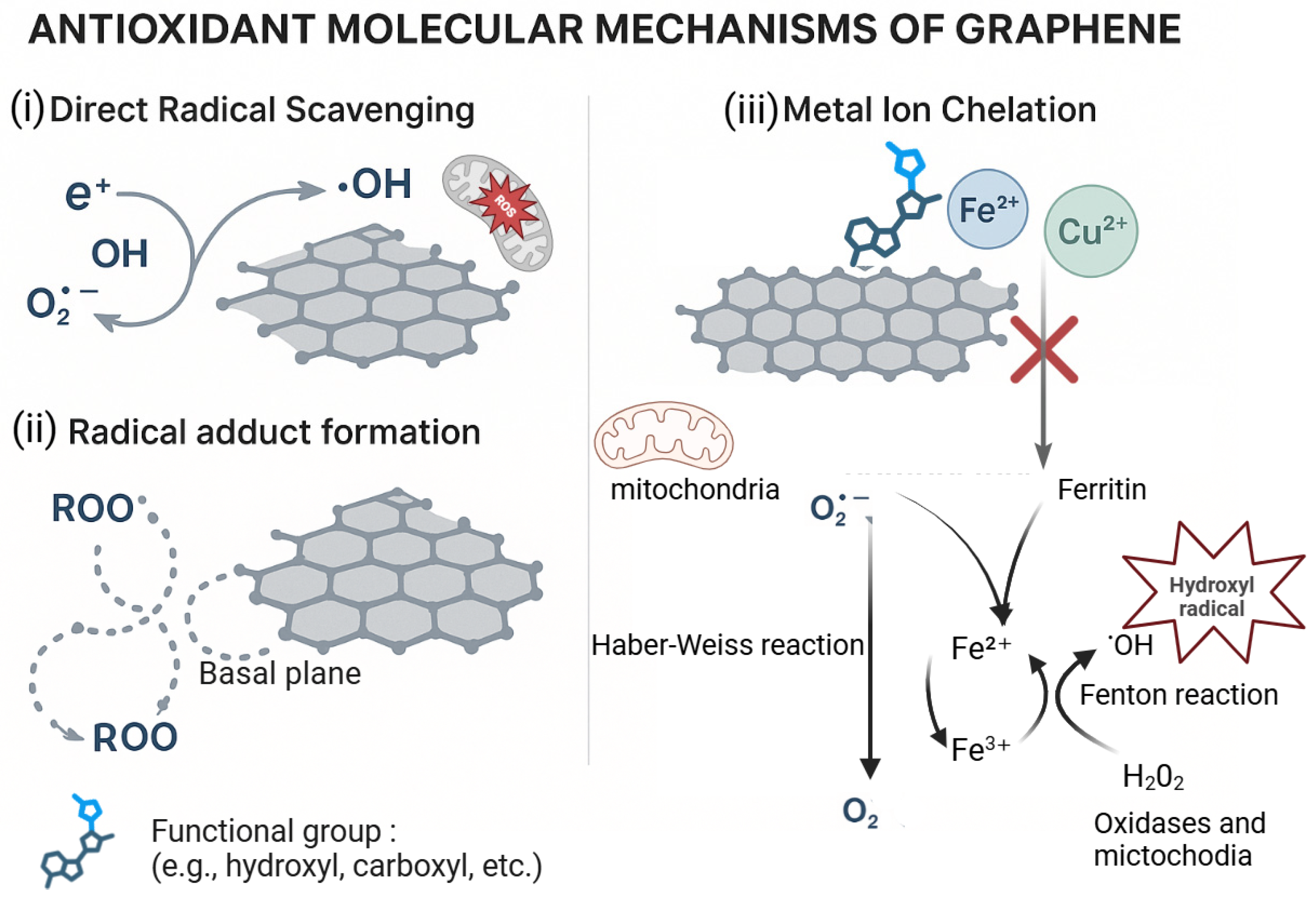 Materials 18 05365 g005