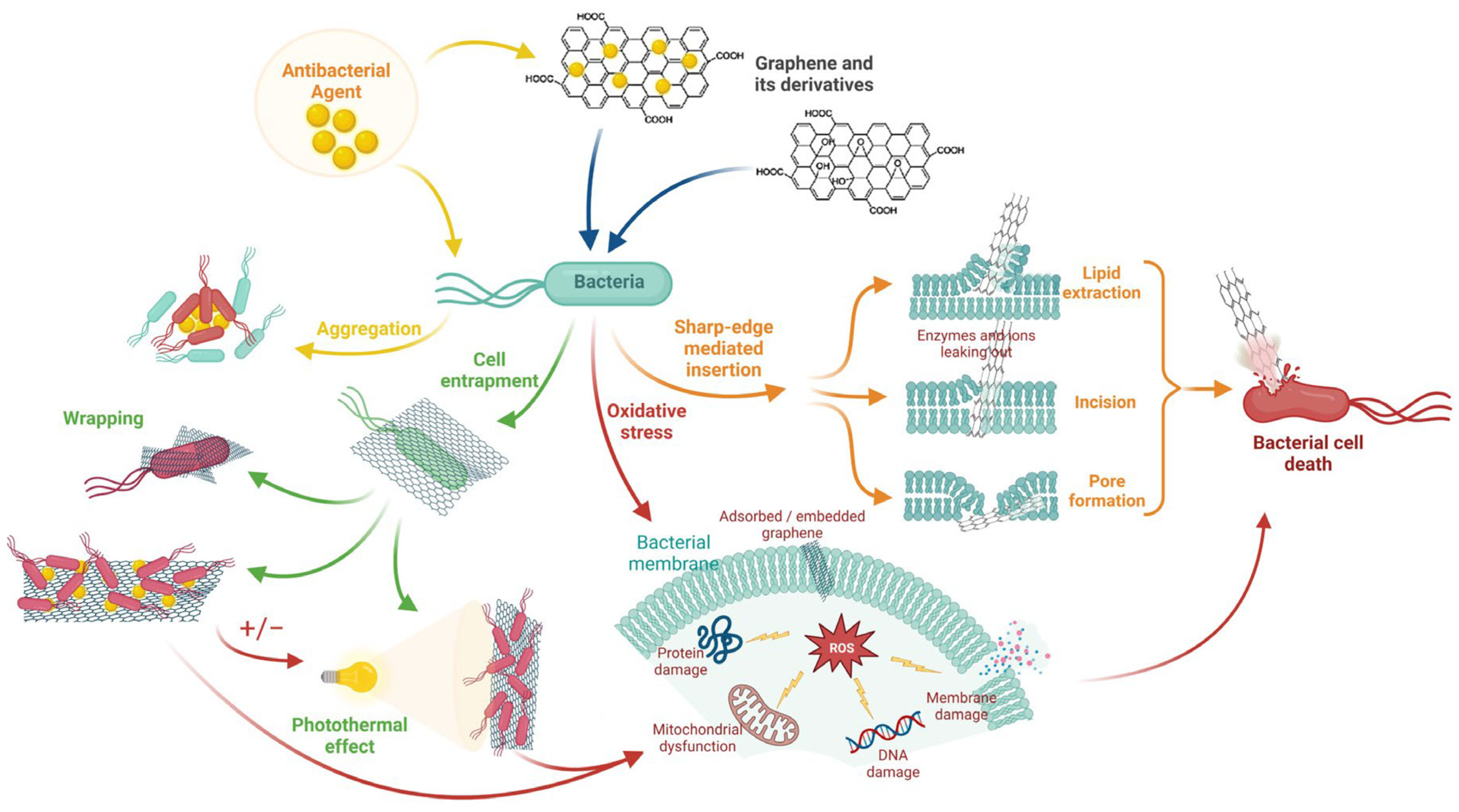 Materials 18 05365 g006