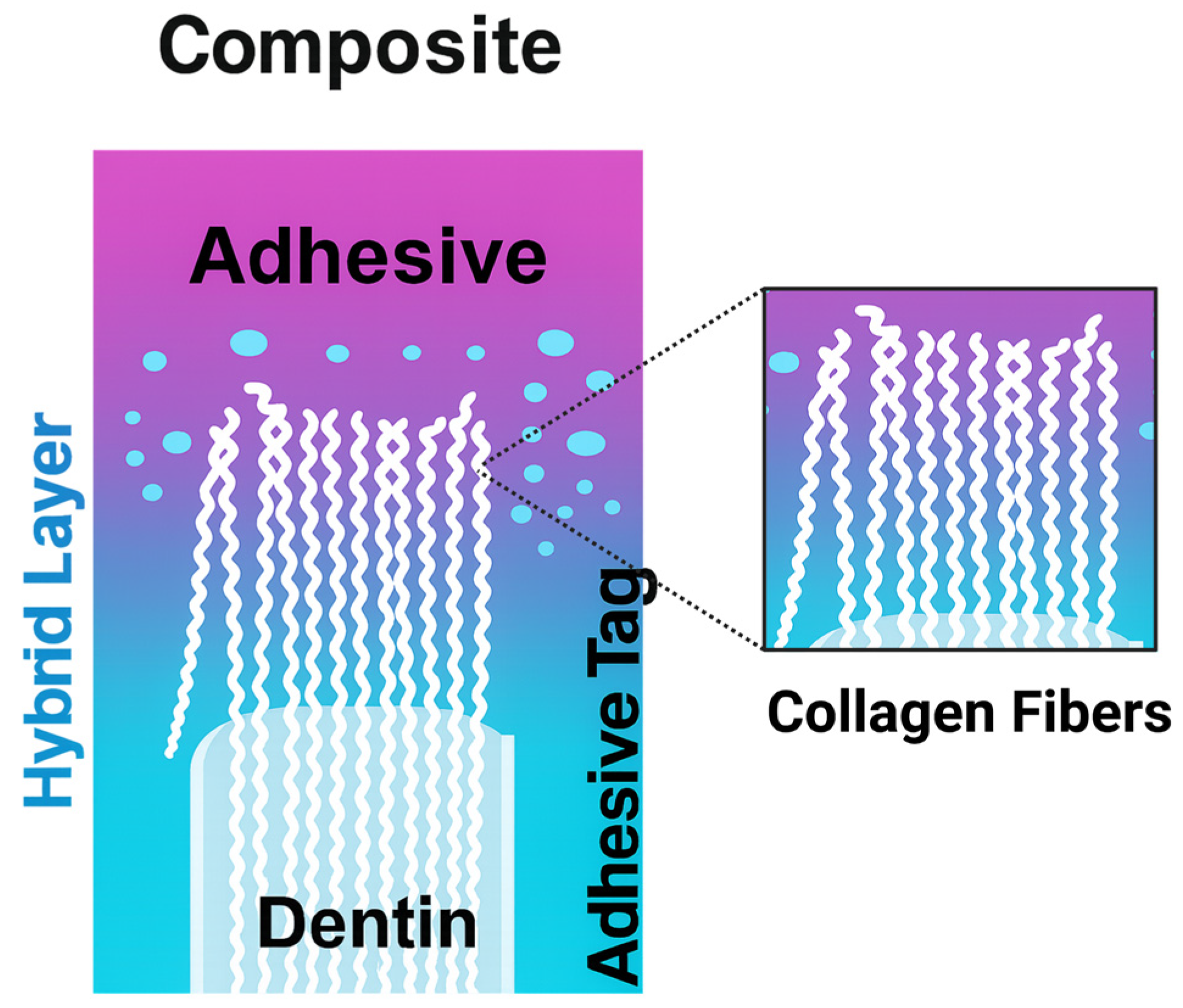 Materials 18 05365 g008