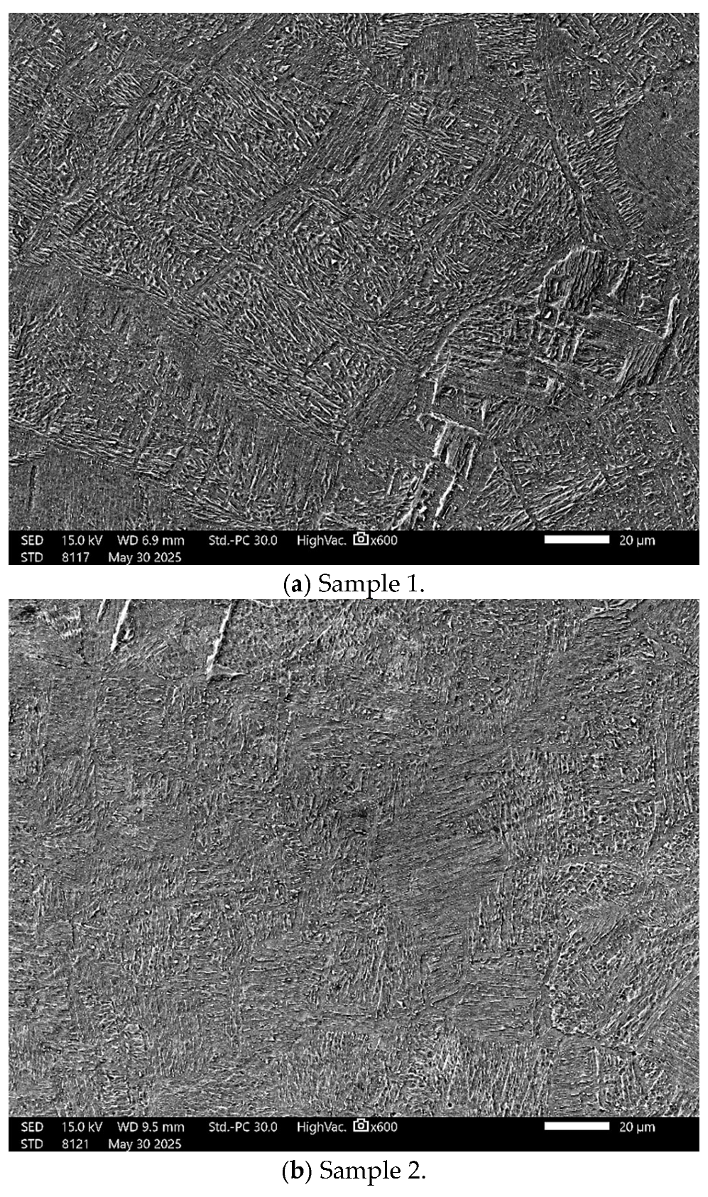 Materials 18 05367 g001a