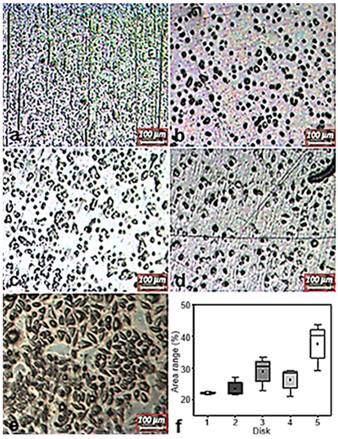 Materials 18 05367 g010
