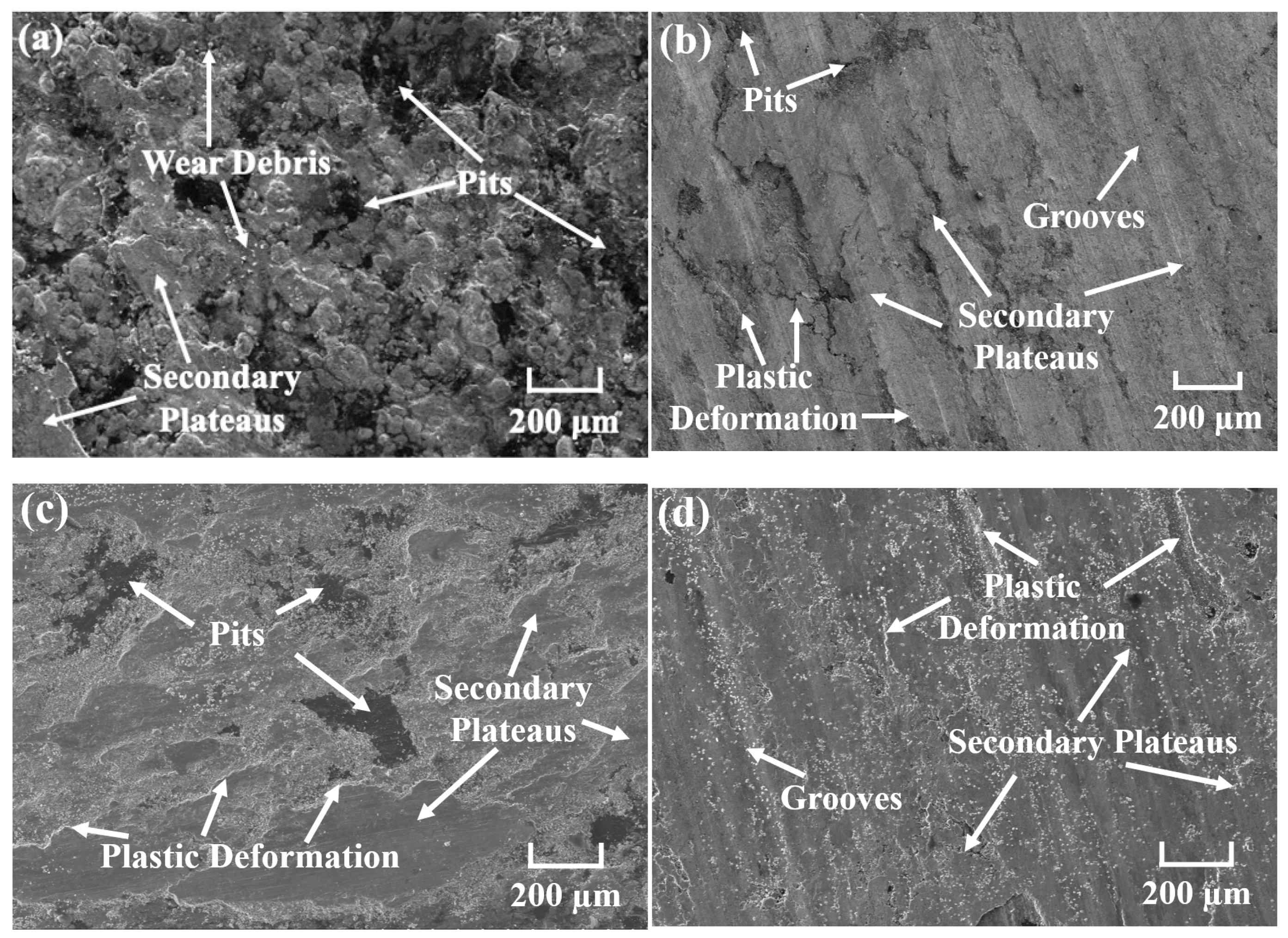 Materials 18 05371 g008