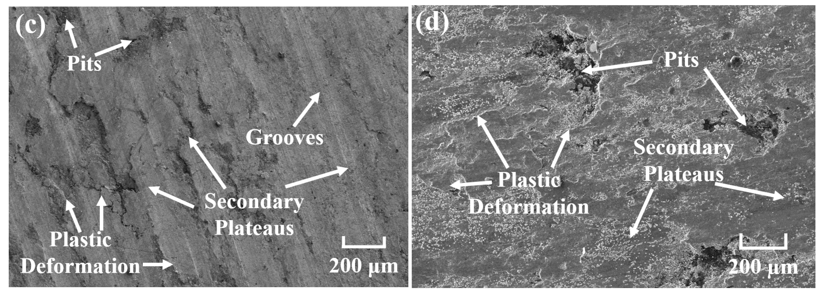 Materials 18 05371 g009b