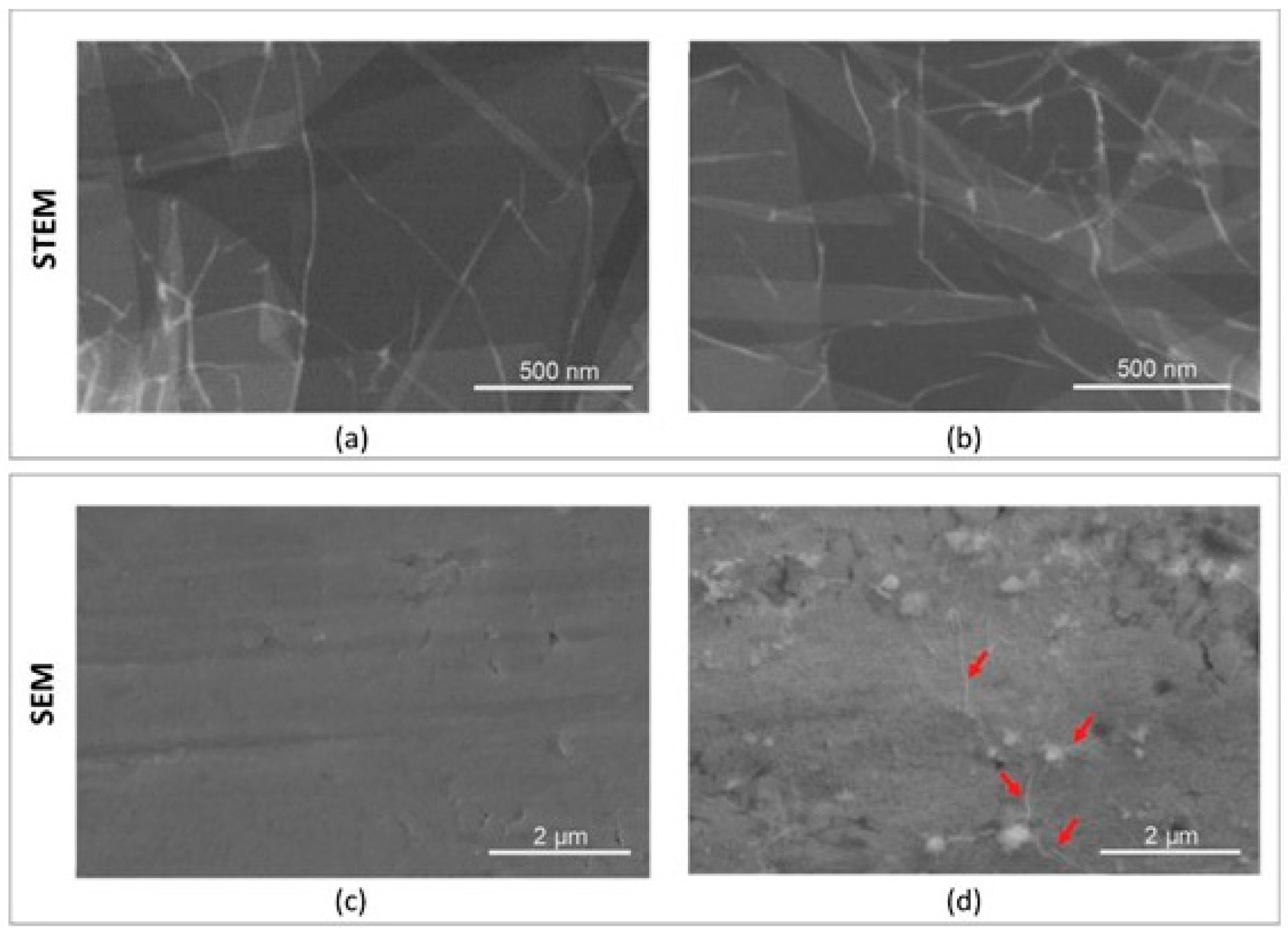 Materials 18 05372 g002