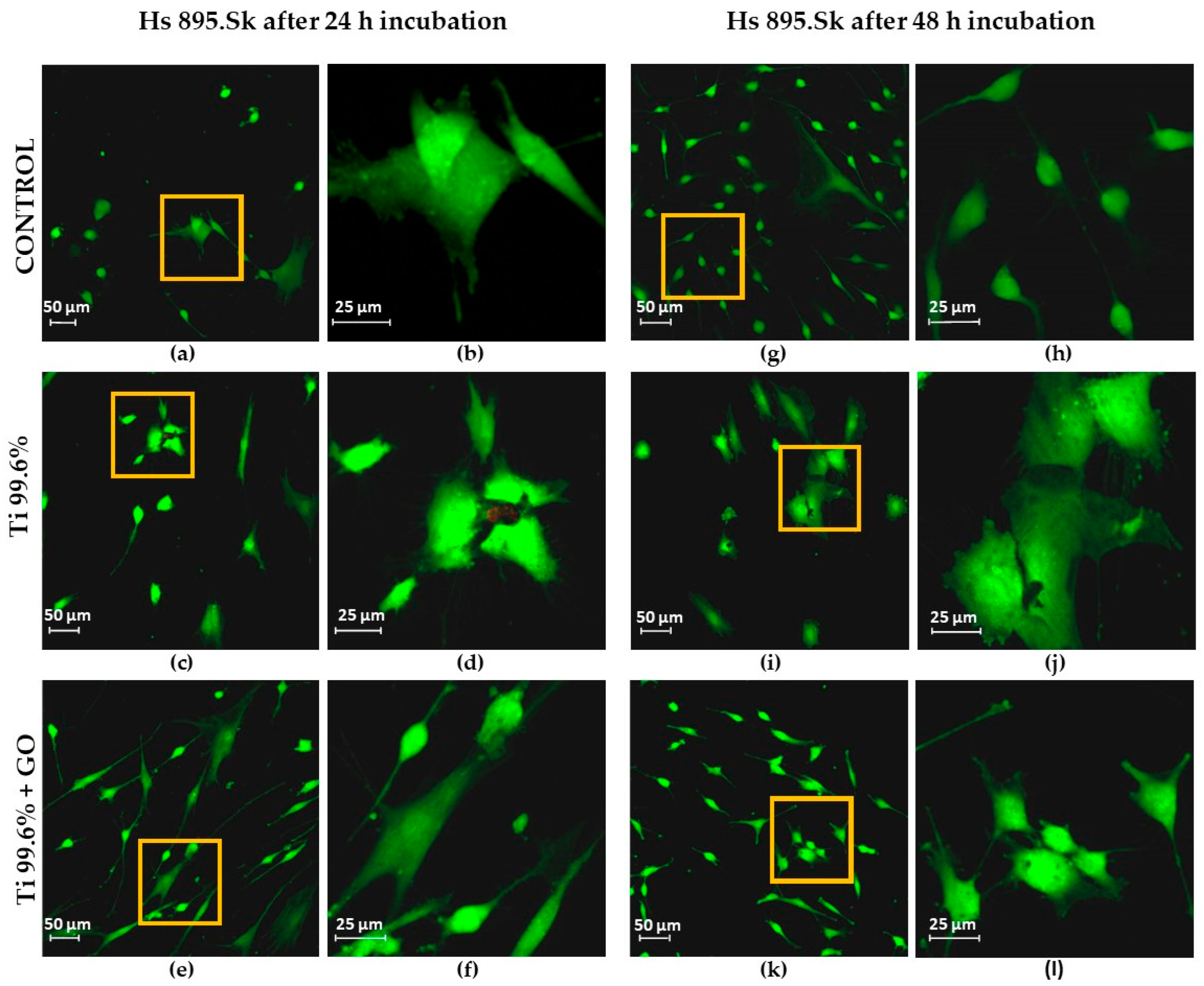 Materials 18 05372 g008