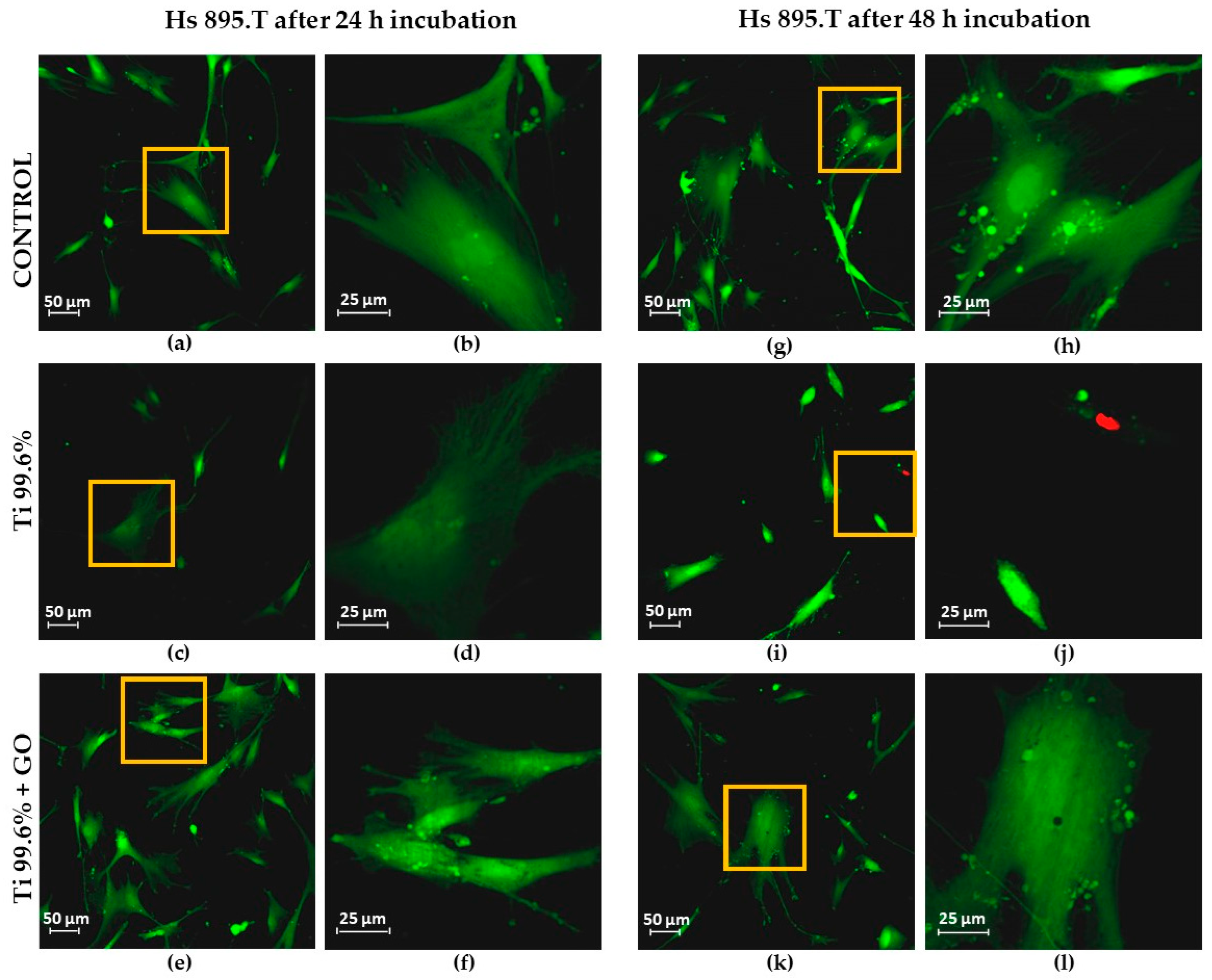 Materials 18 05372 g009