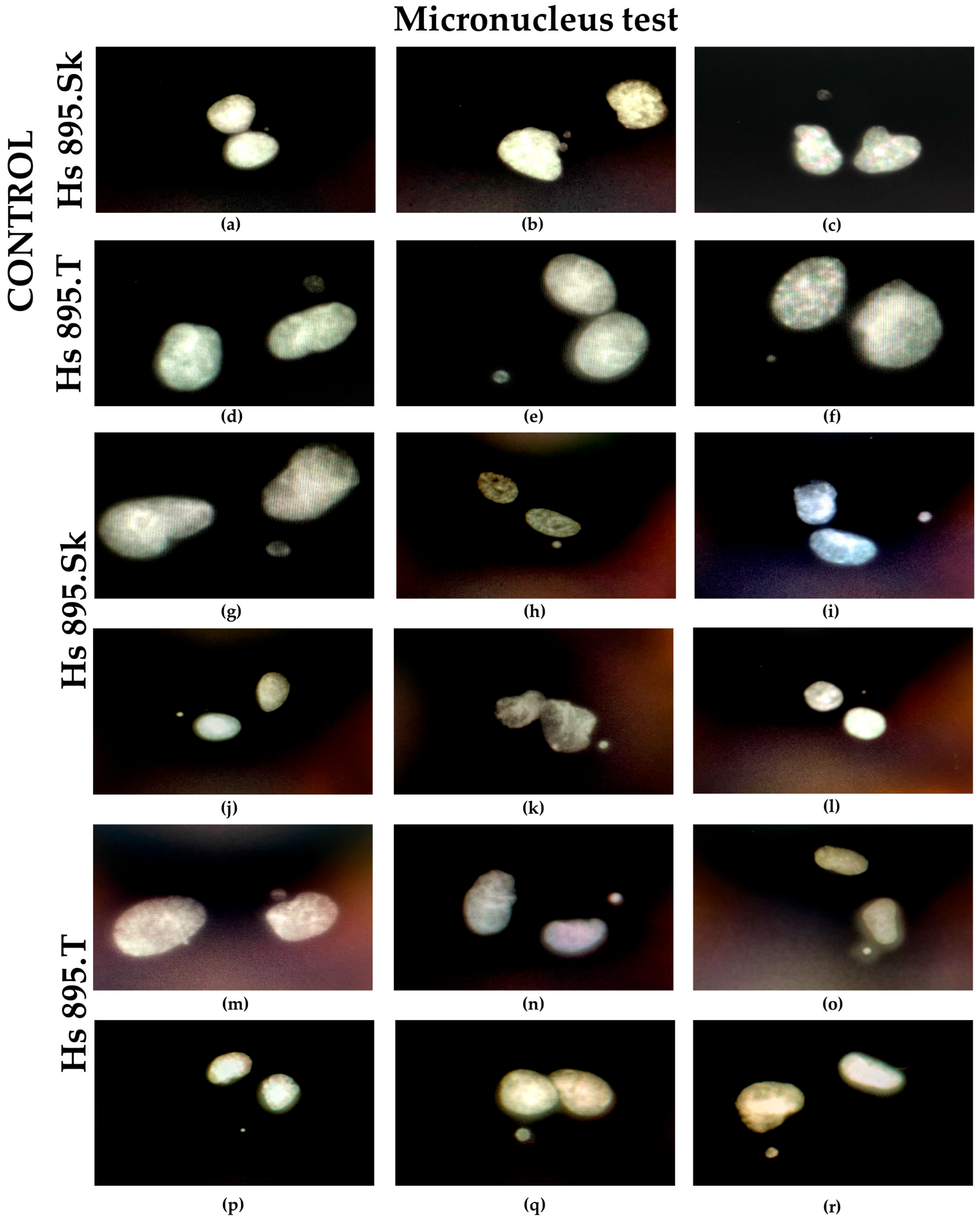 Materials 18 05372 g012