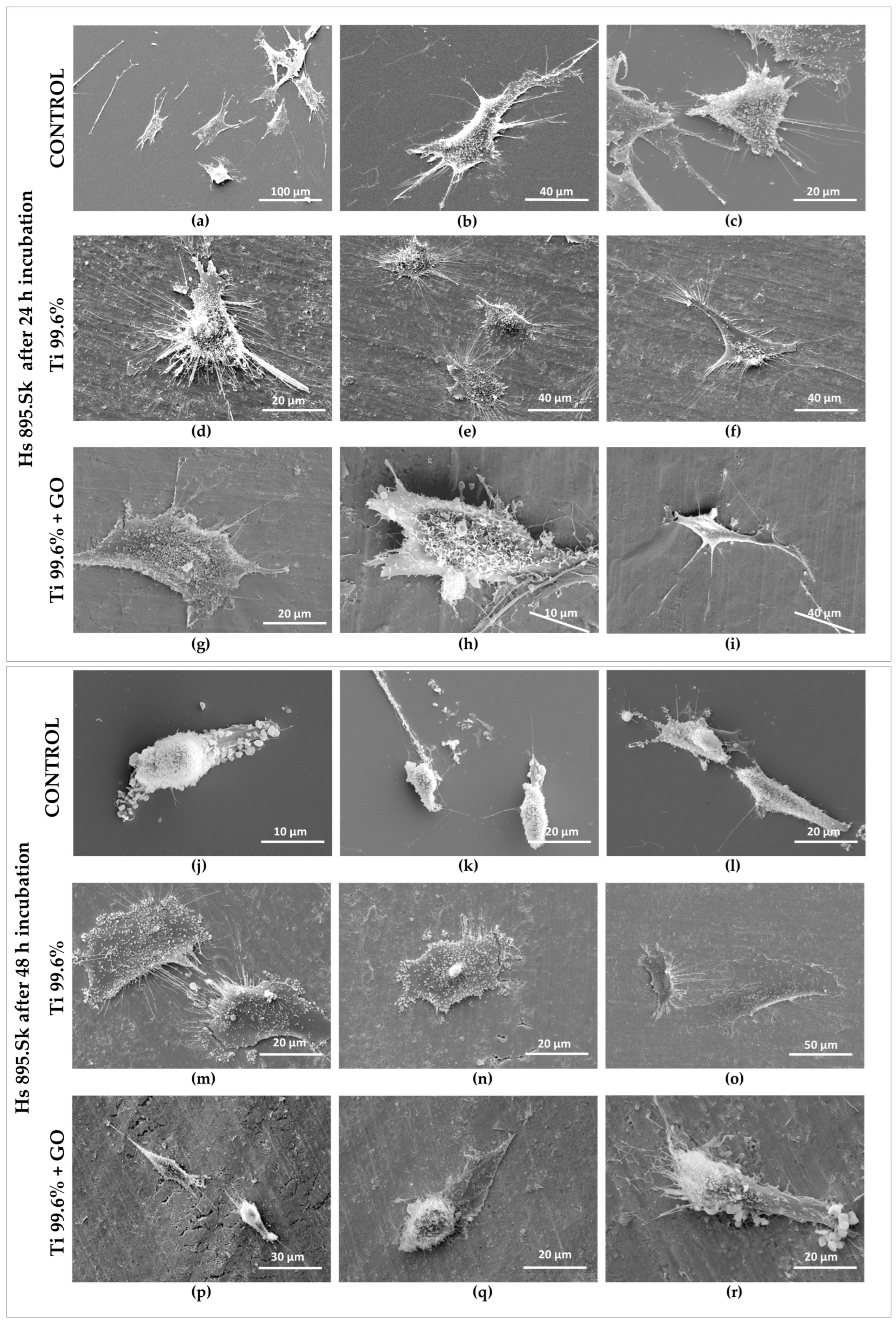 Materials 18 05372 g013