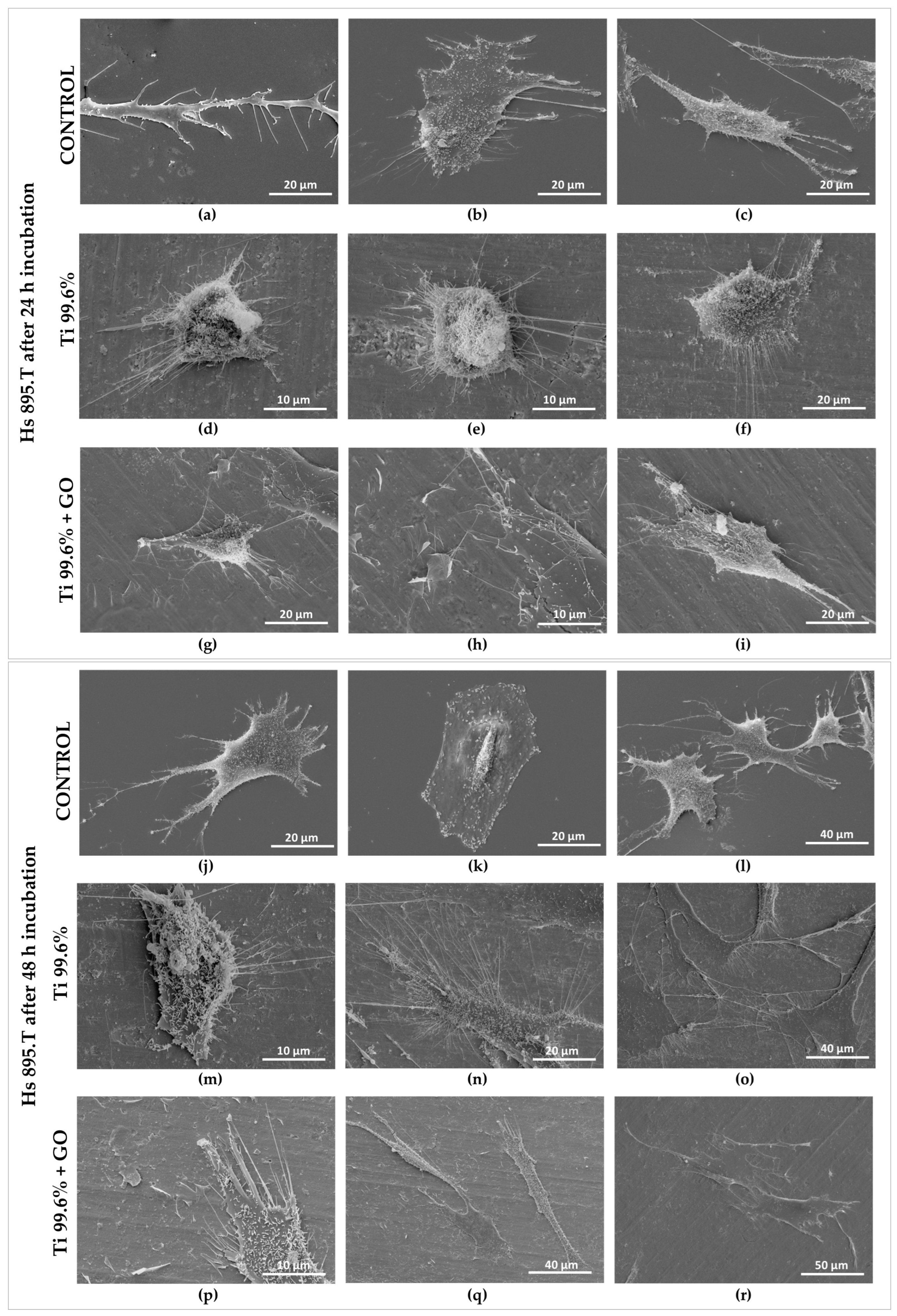 Materials 18 05372 g014