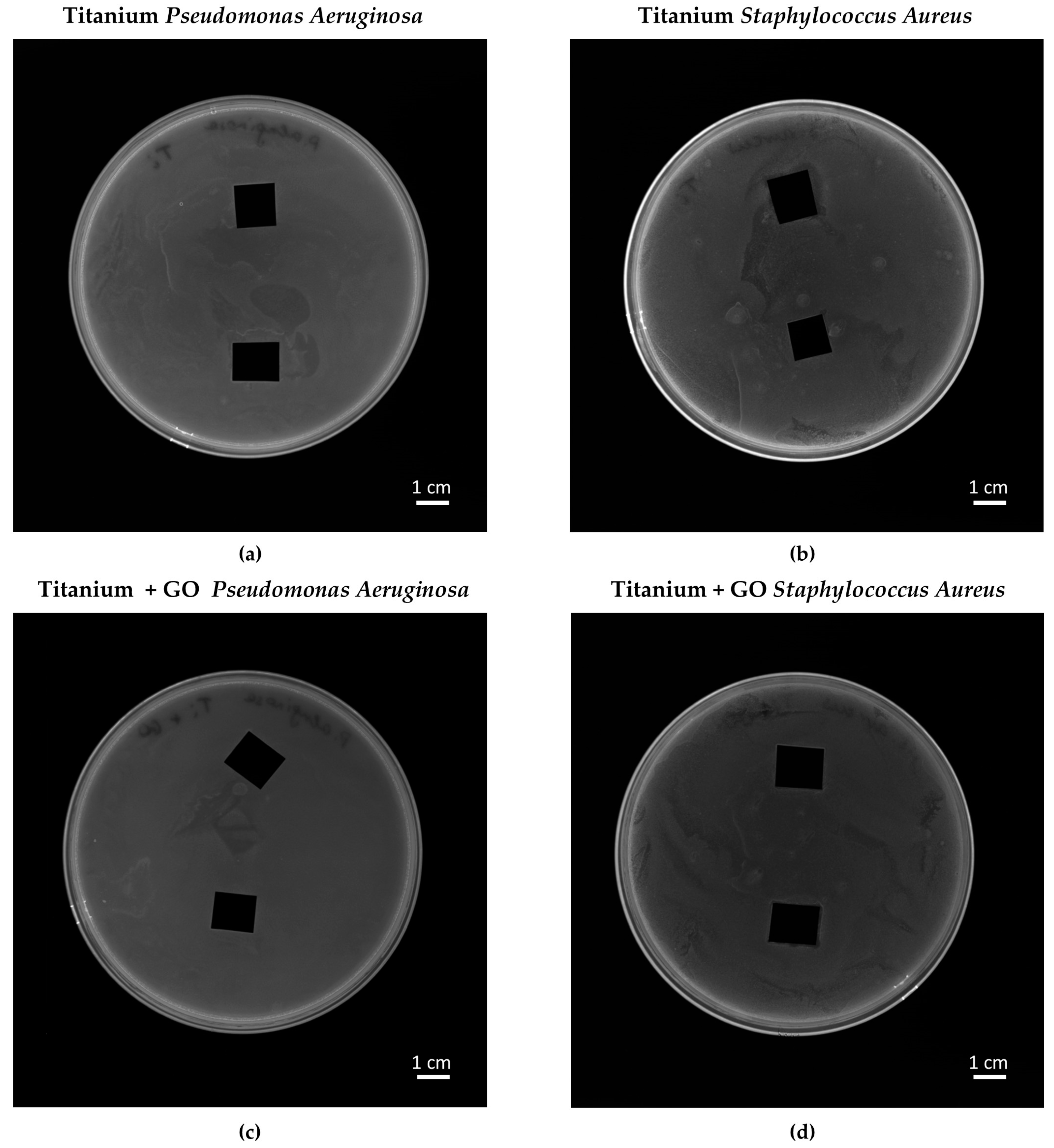 Materials 18 05372 g015