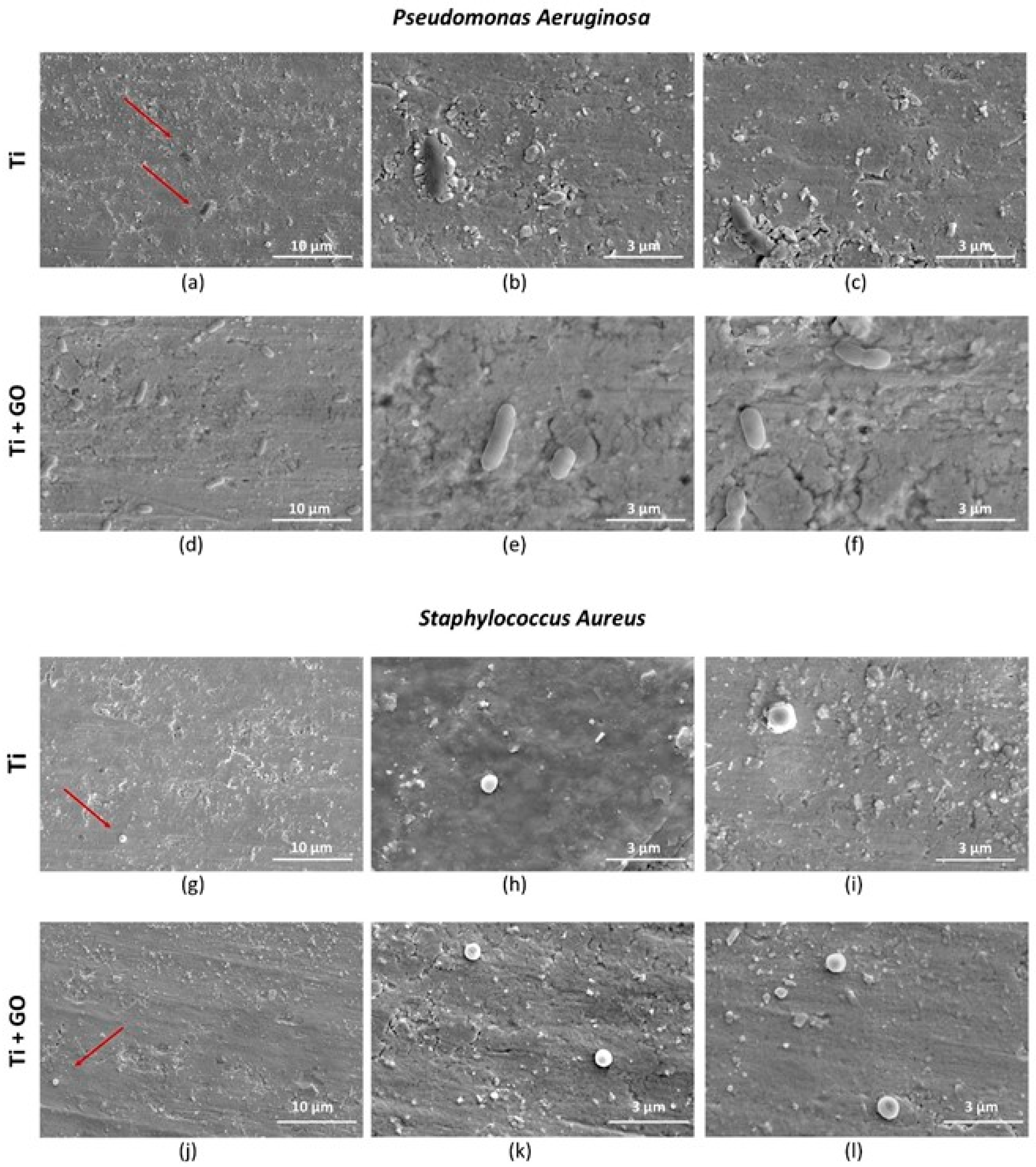 Materials 18 05372 g017