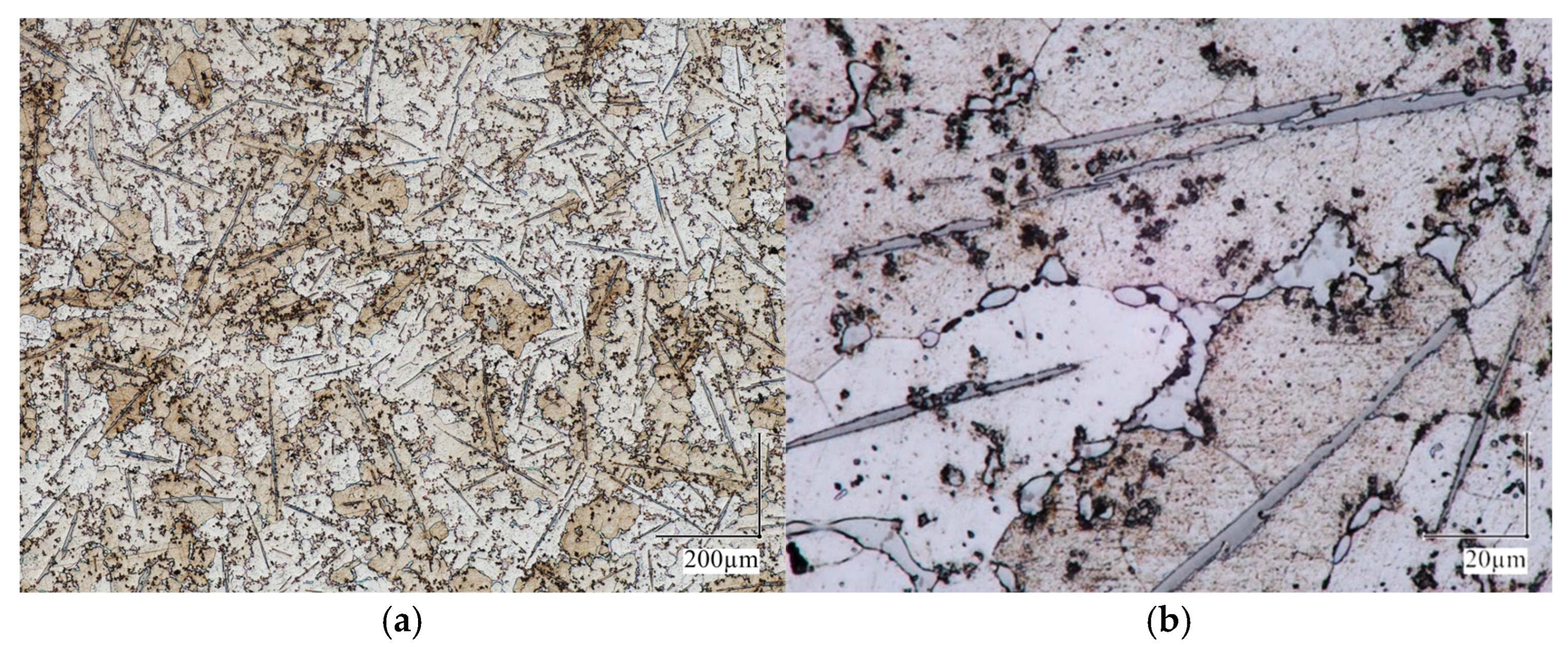 Materials 18 05374 g005