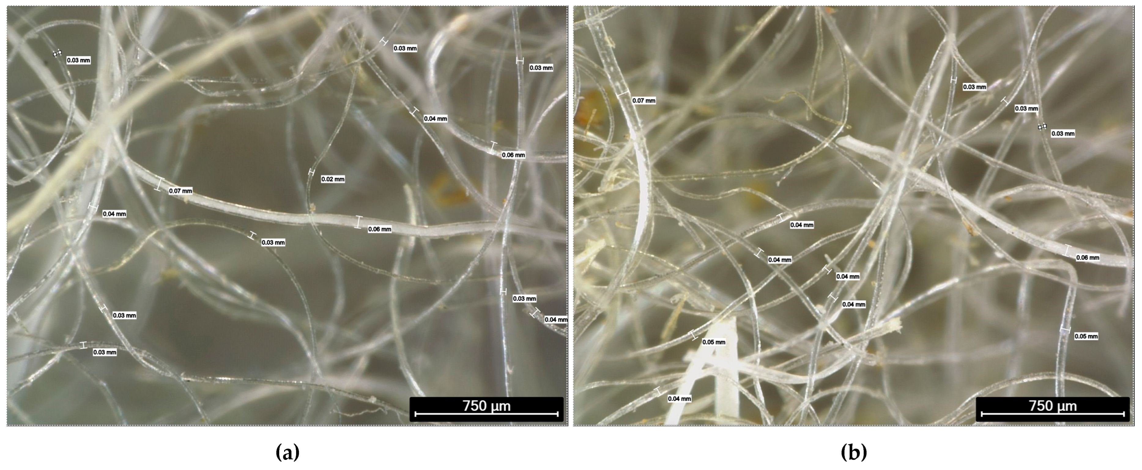 Materials 18 05391 g001a