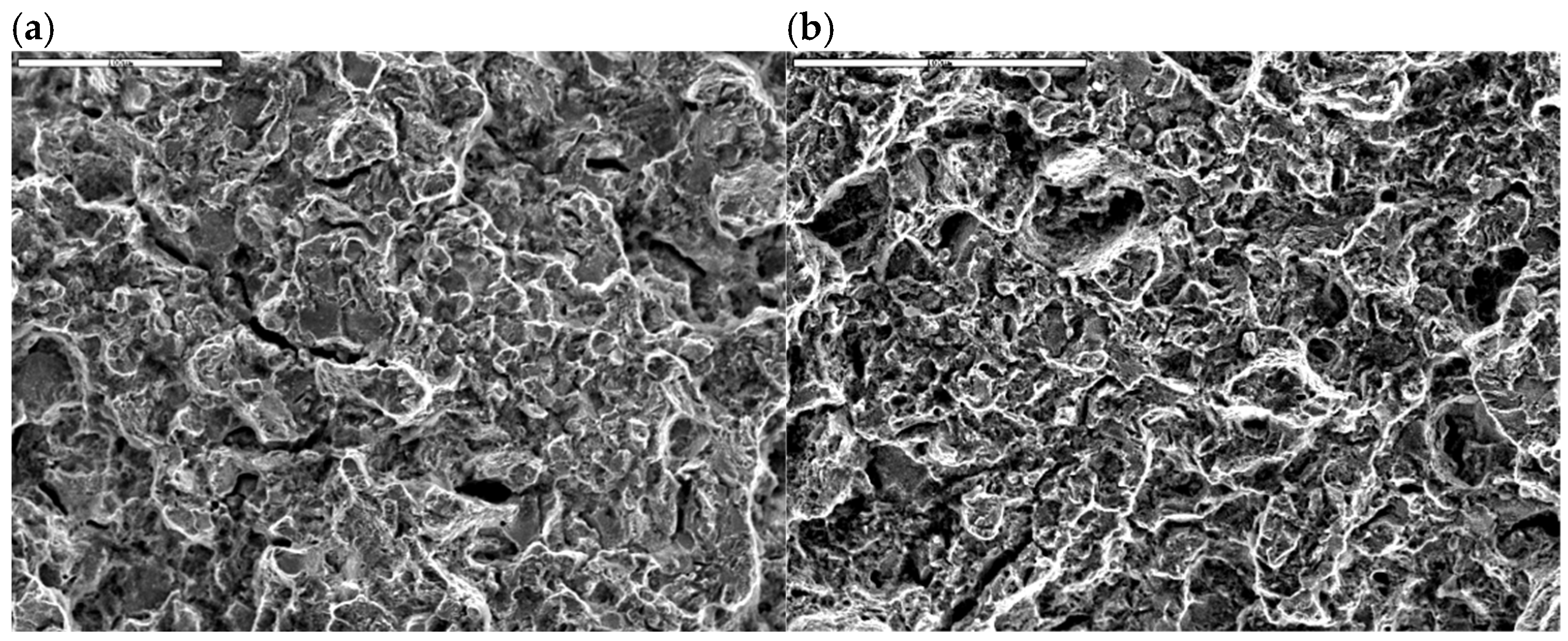 Materials 18 05426 g010