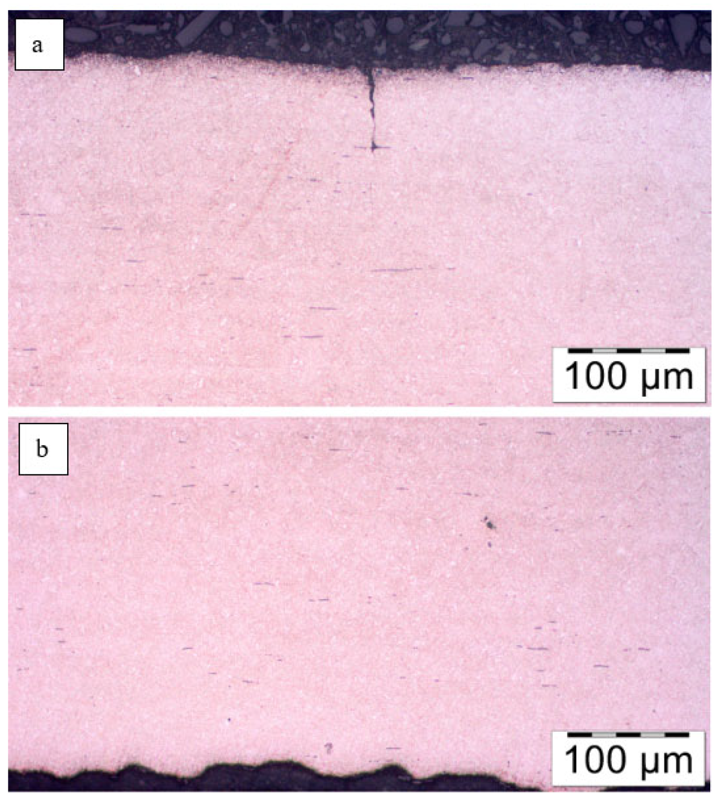 Materials 18 05426 g012