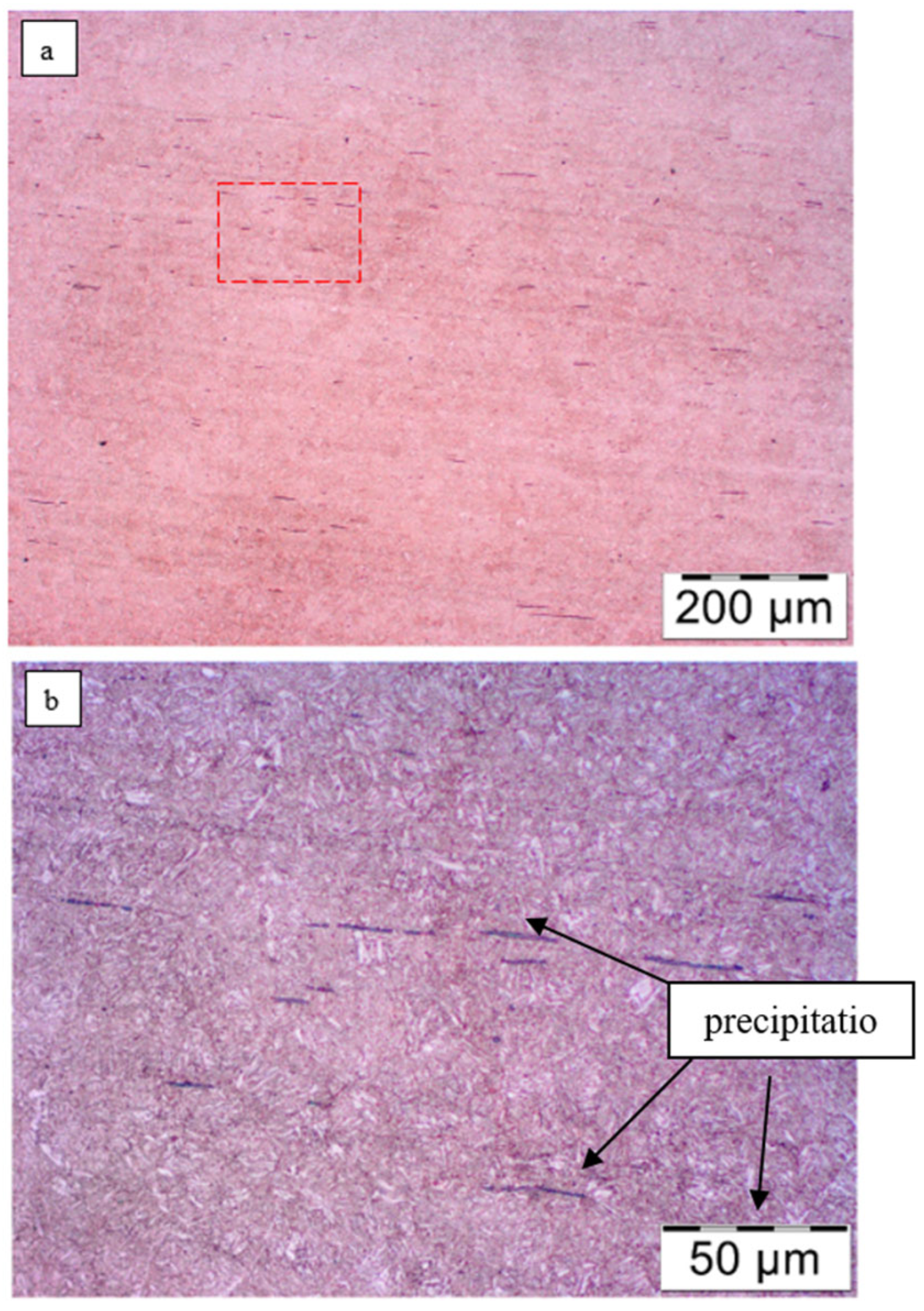 Materials 18 05426 g013