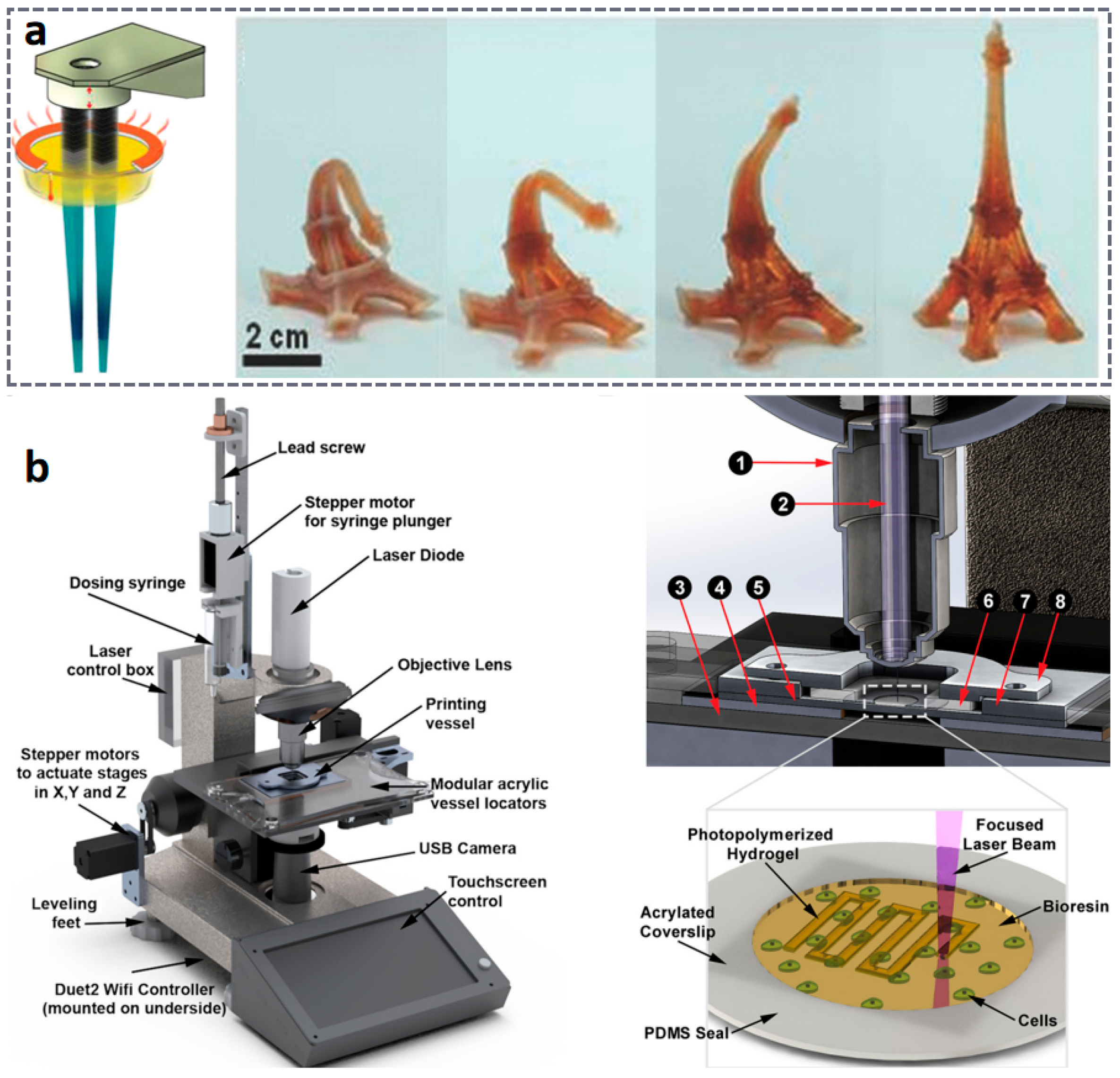 Materials 18 05428 g004 Materials 18 05428 g004