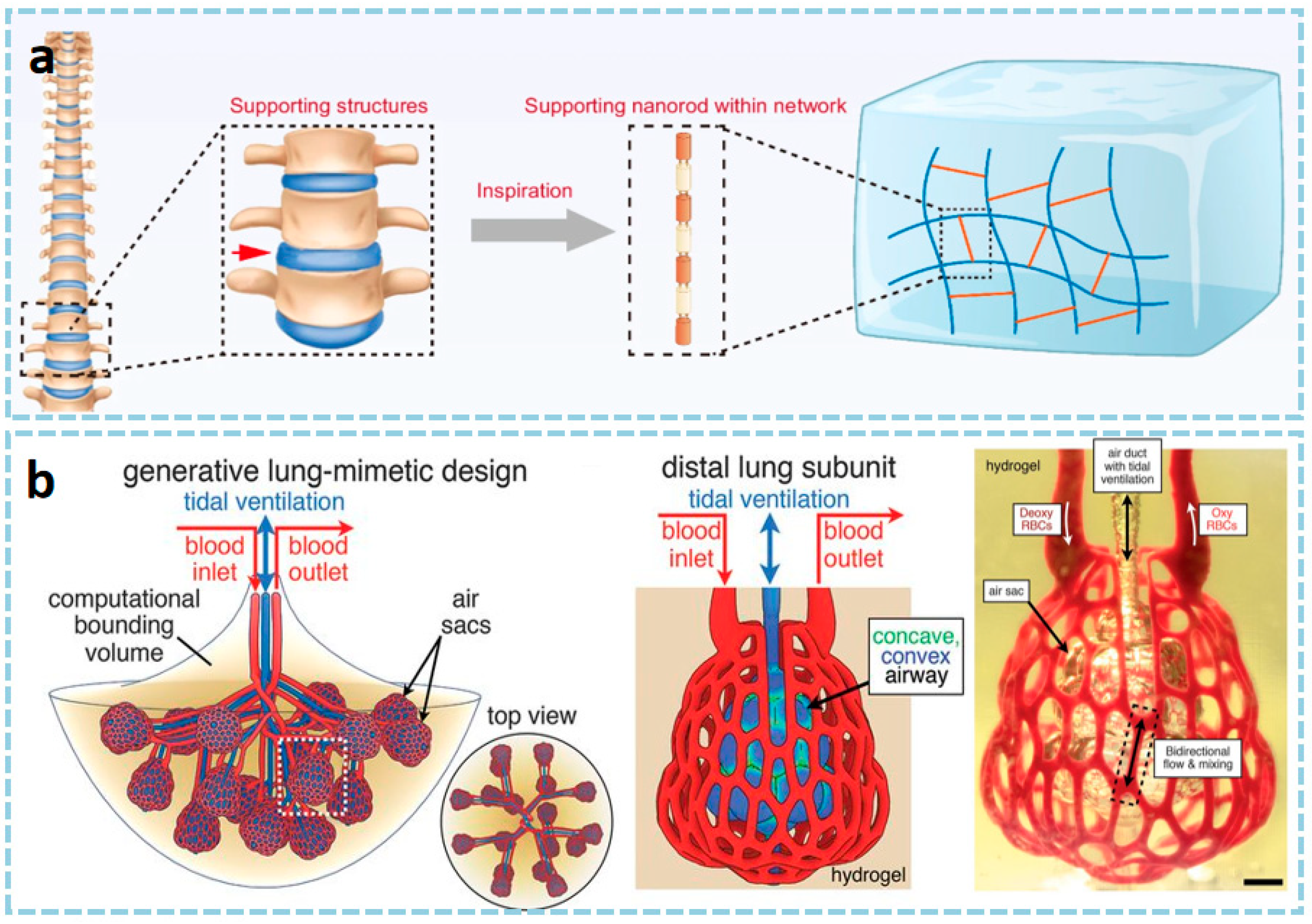 Materials 18 05428 g008 Materials 18 05428 g008