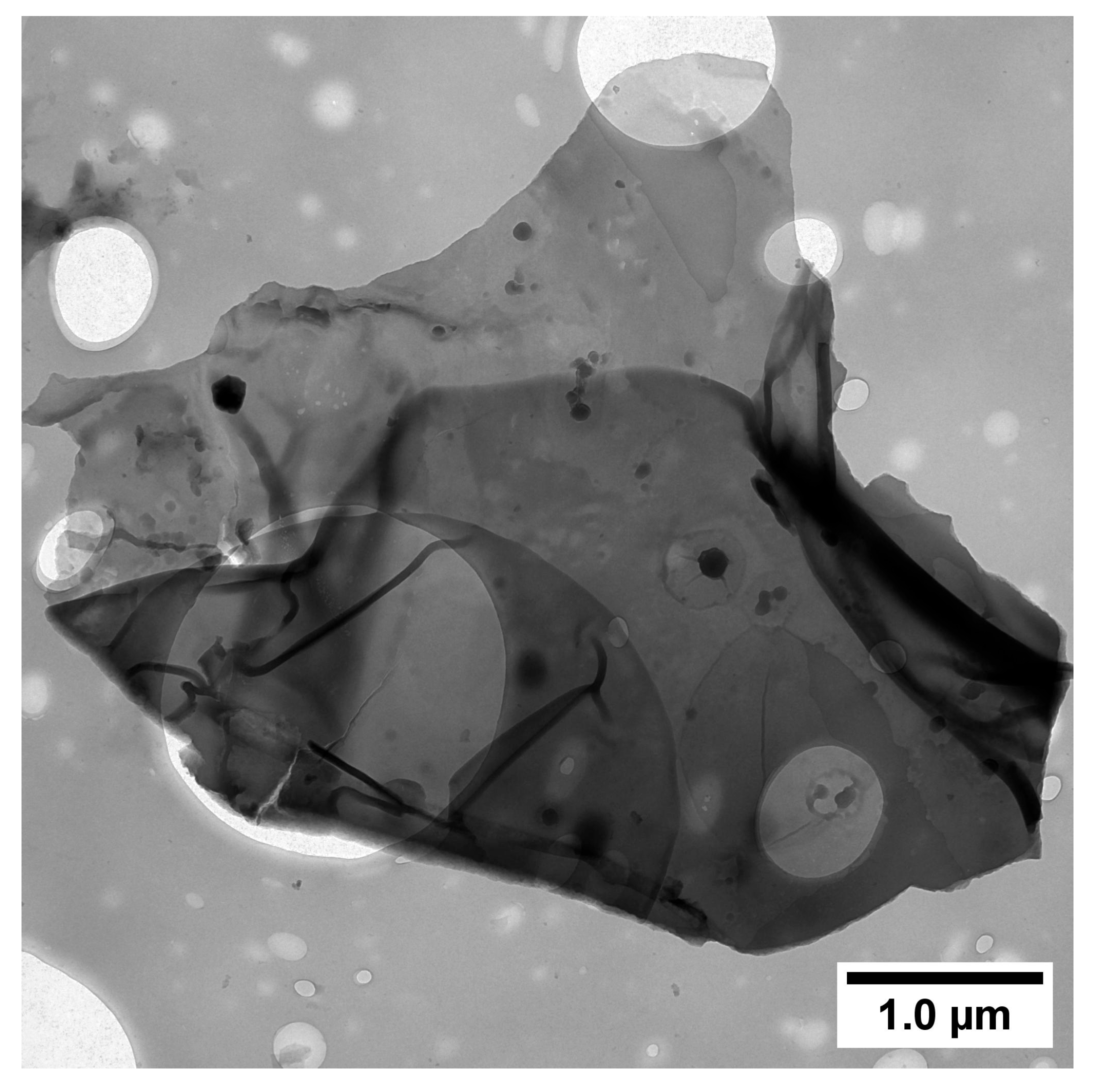 Materials 18 05429 g005