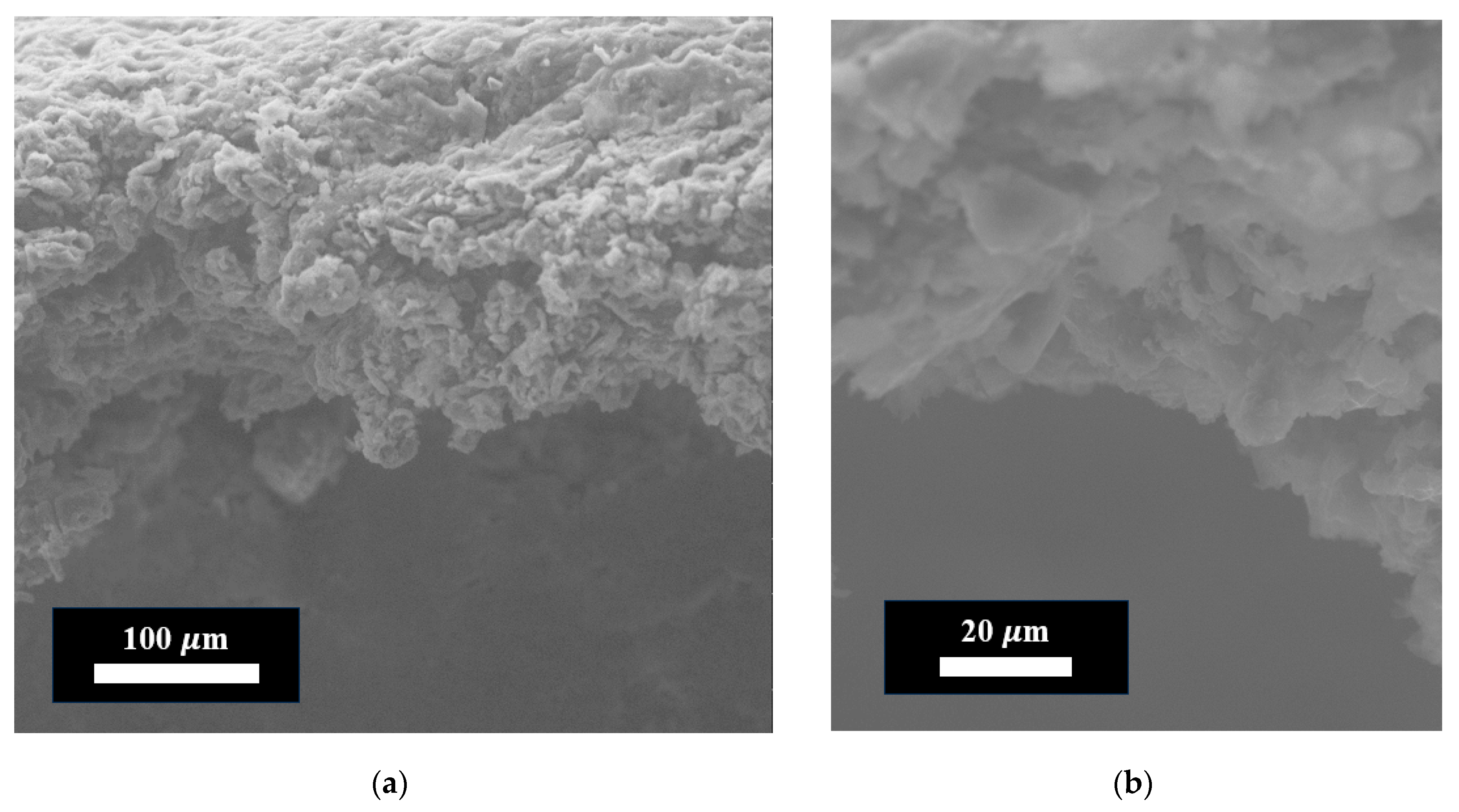 Materials 18 05429 g007