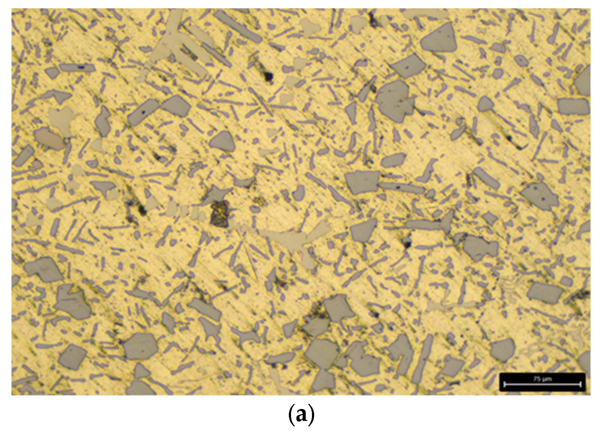 Materials 18 05434 g001a