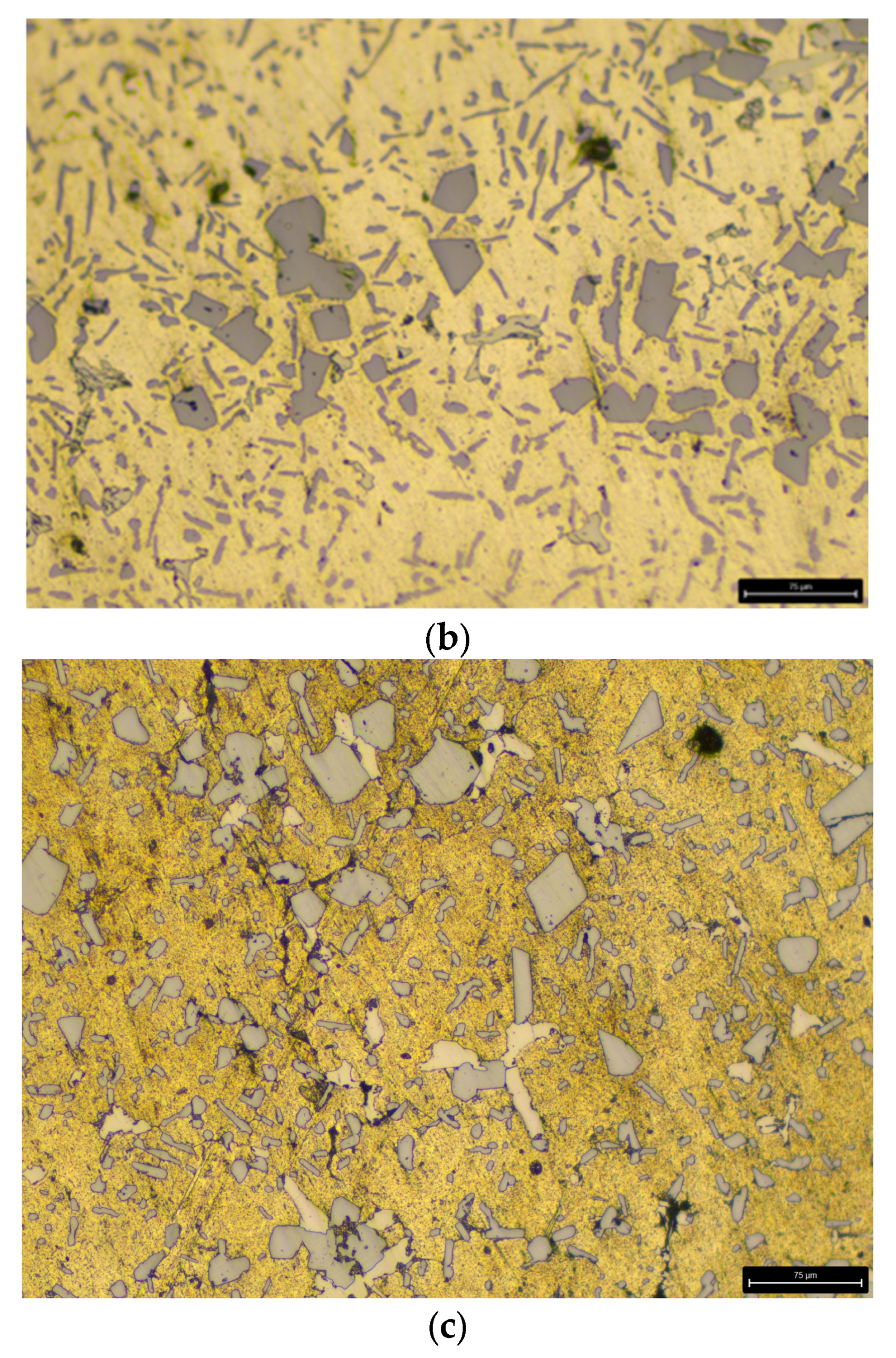 Materials 18 05434 g001b