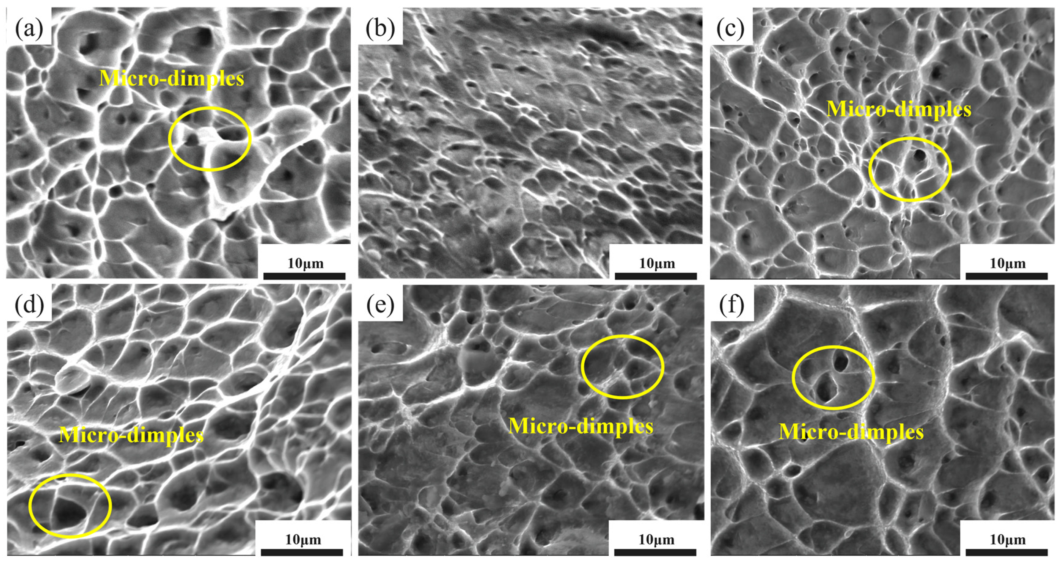 Materials 18 05436 g009